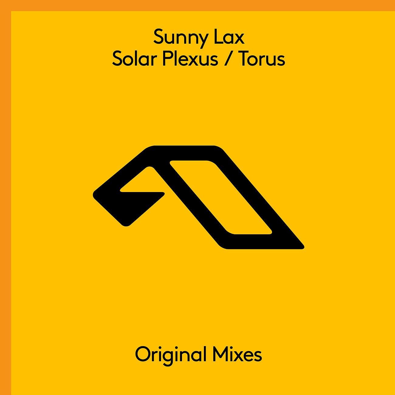 Постер альбома Solar Plexus / Torus