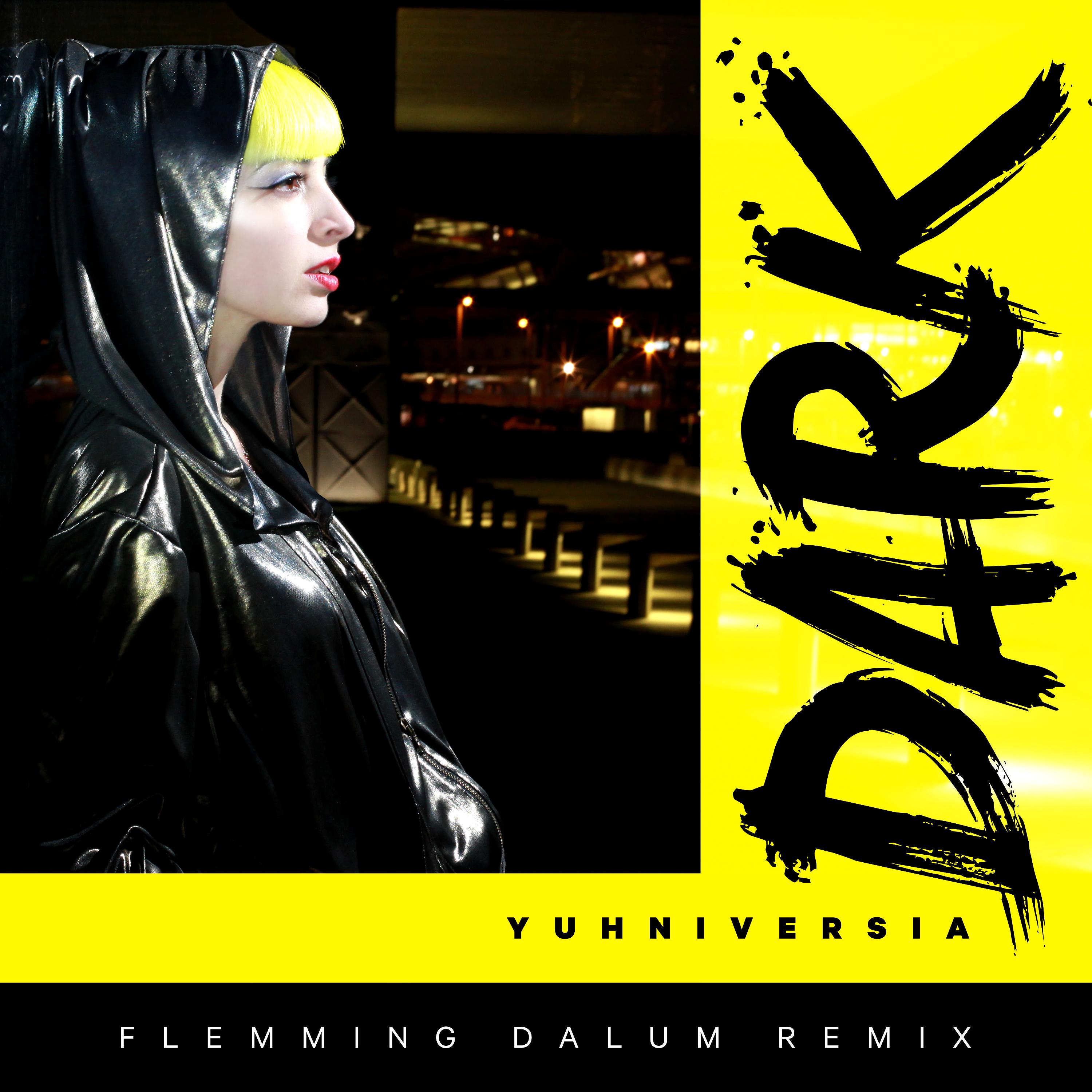 Постер альбома Dark (Flemming Dalum Remix)