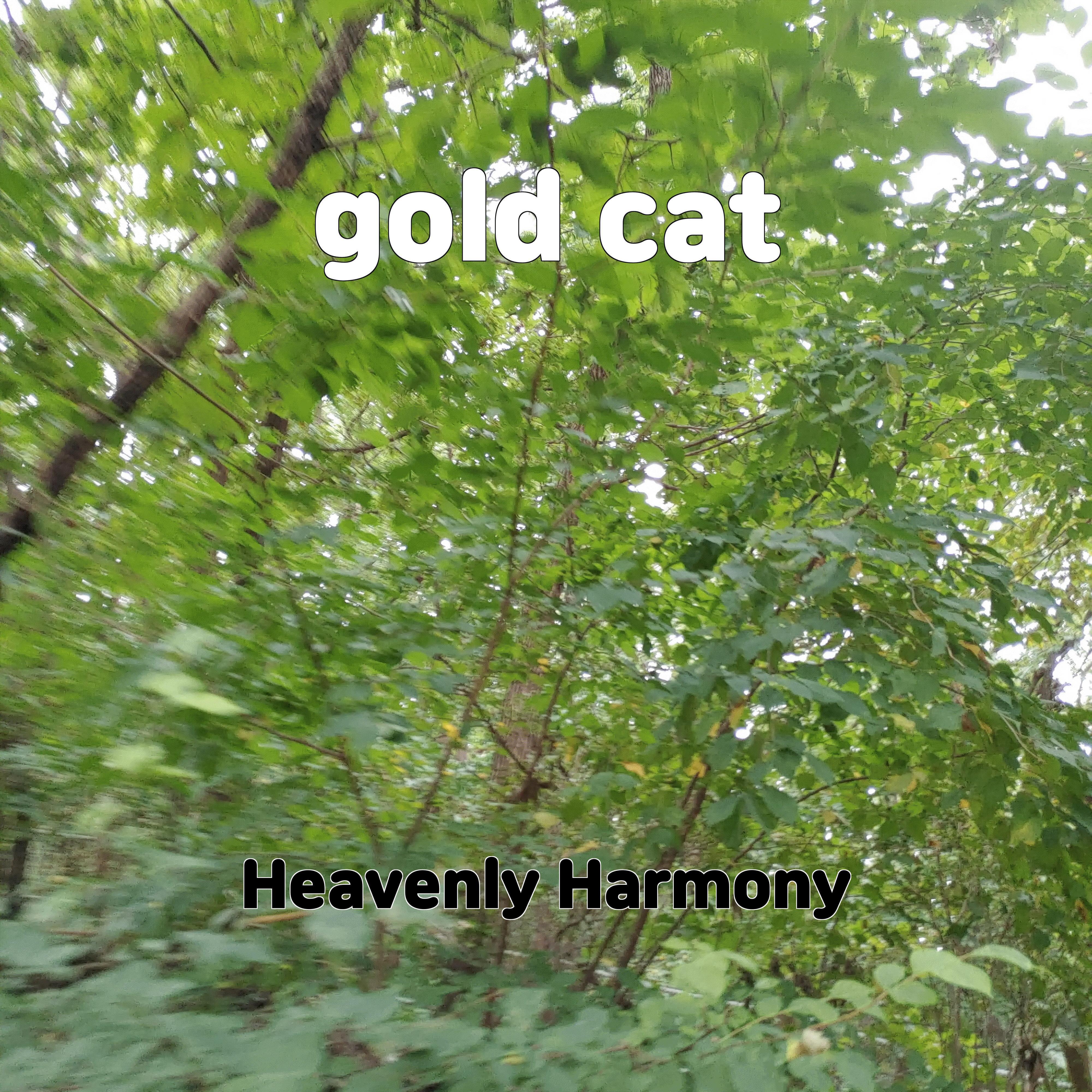 Постер альбома gold cat