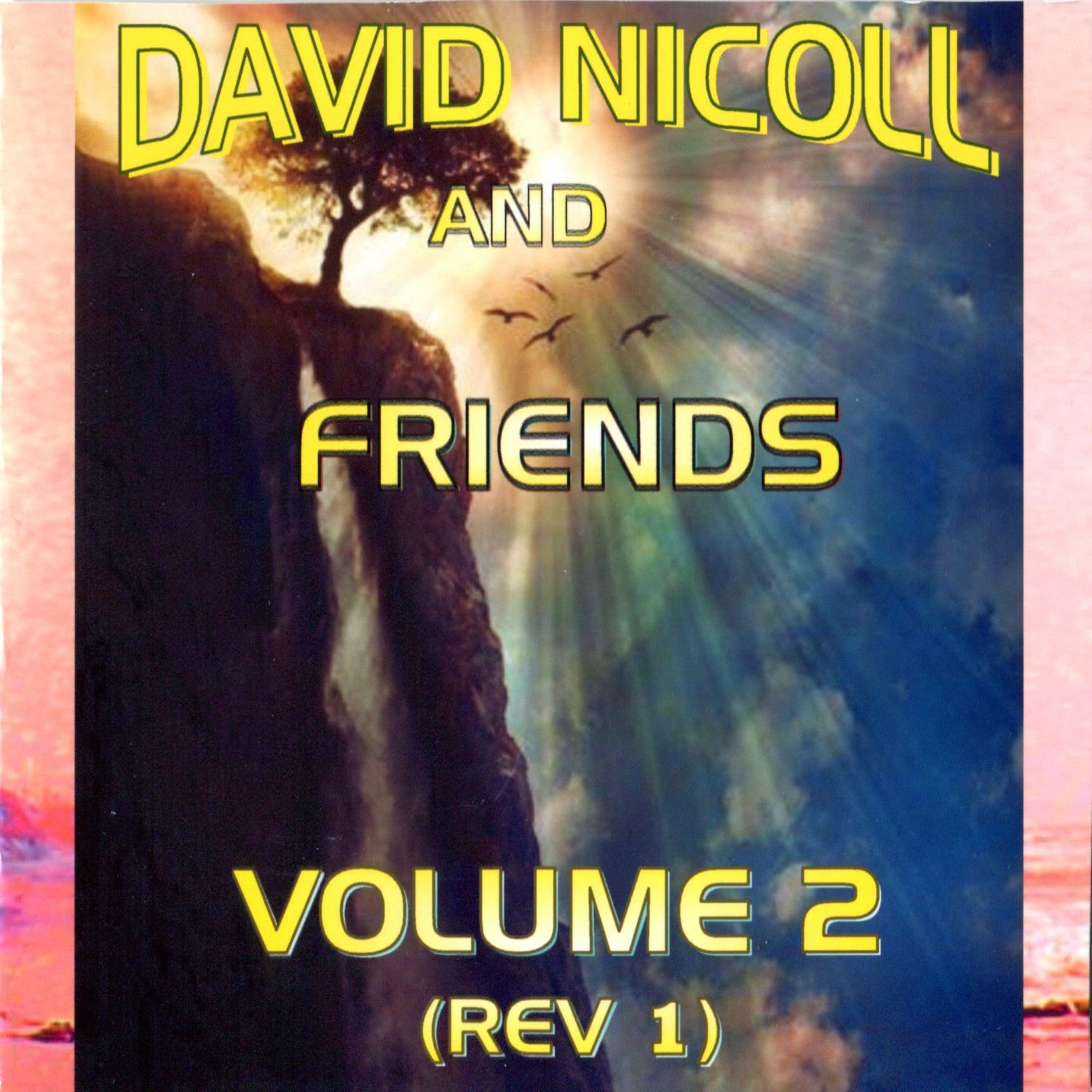 Постер альбома David Nicoll and Friends (Rev1), Vol. 2