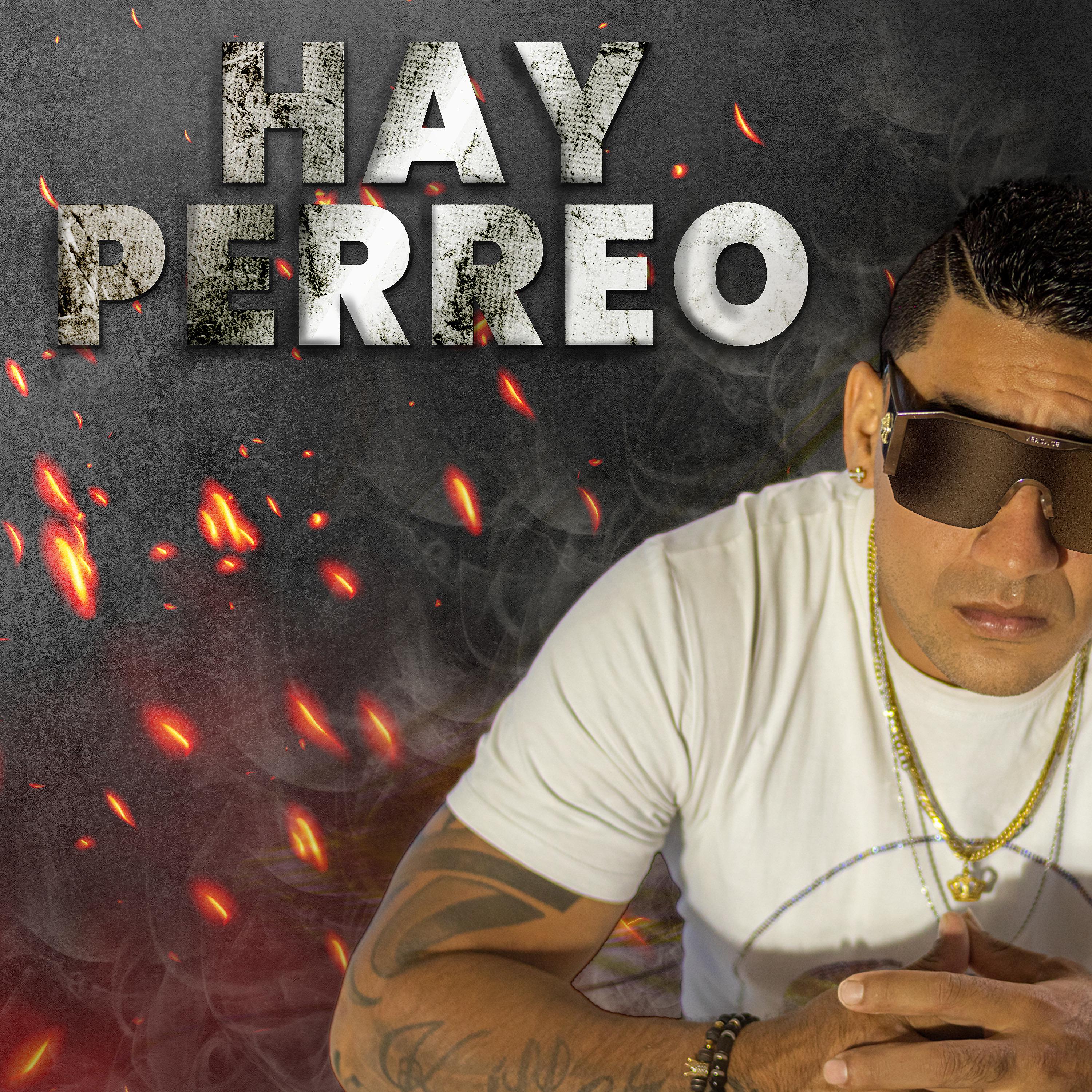Постер альбома Hay Perreo