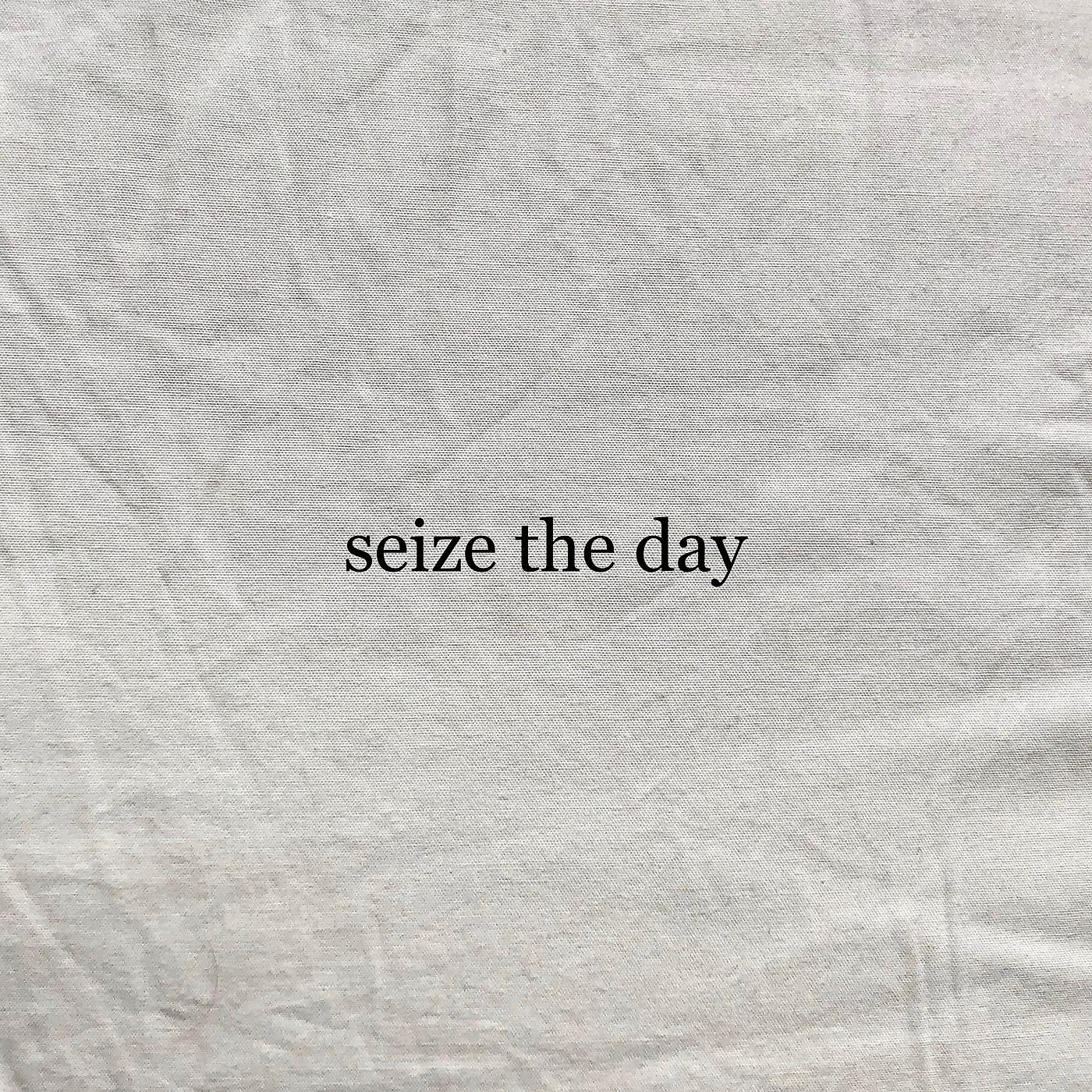 Постер альбома Seize the Day