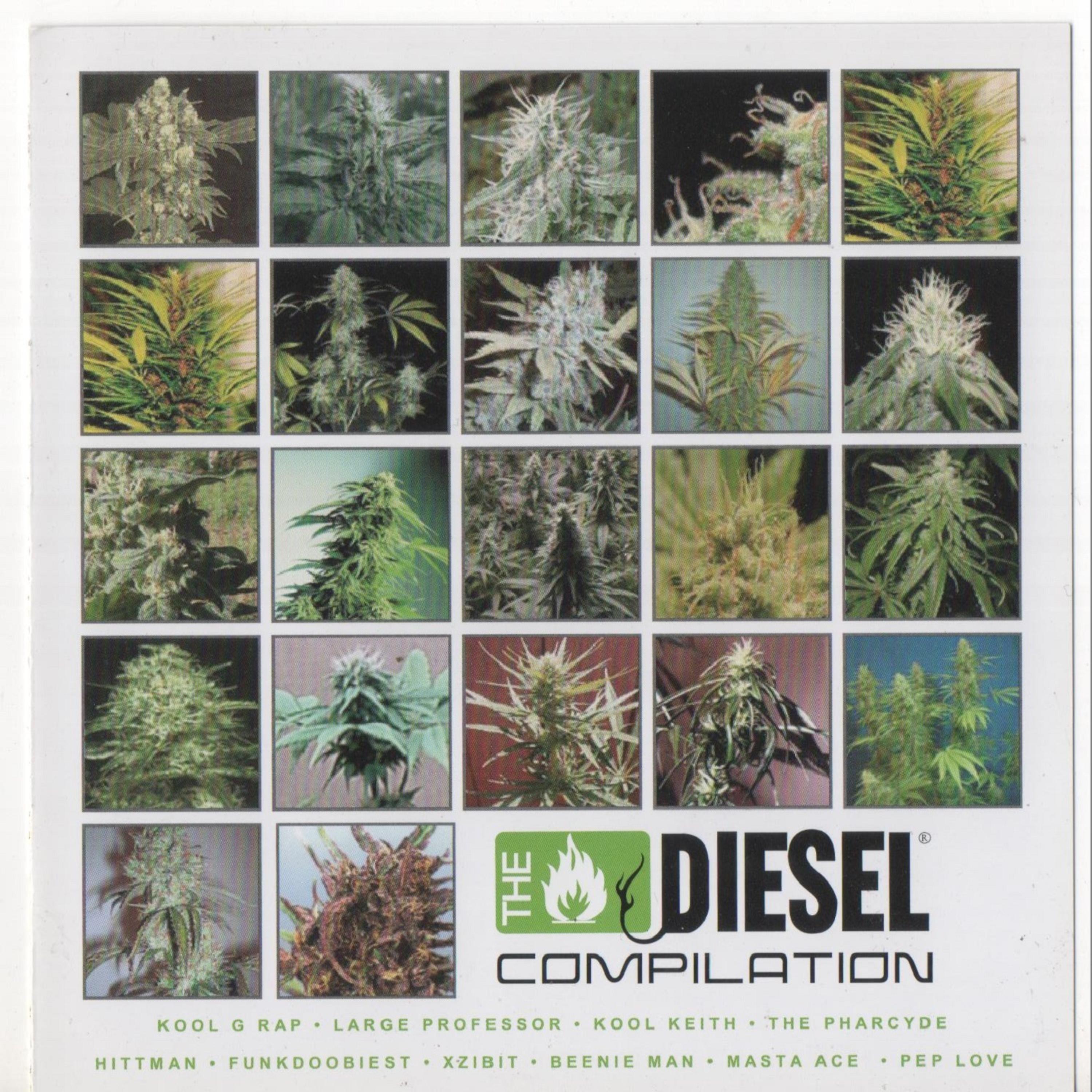 Постер альбома Diesel Compilation: Sickbay Records