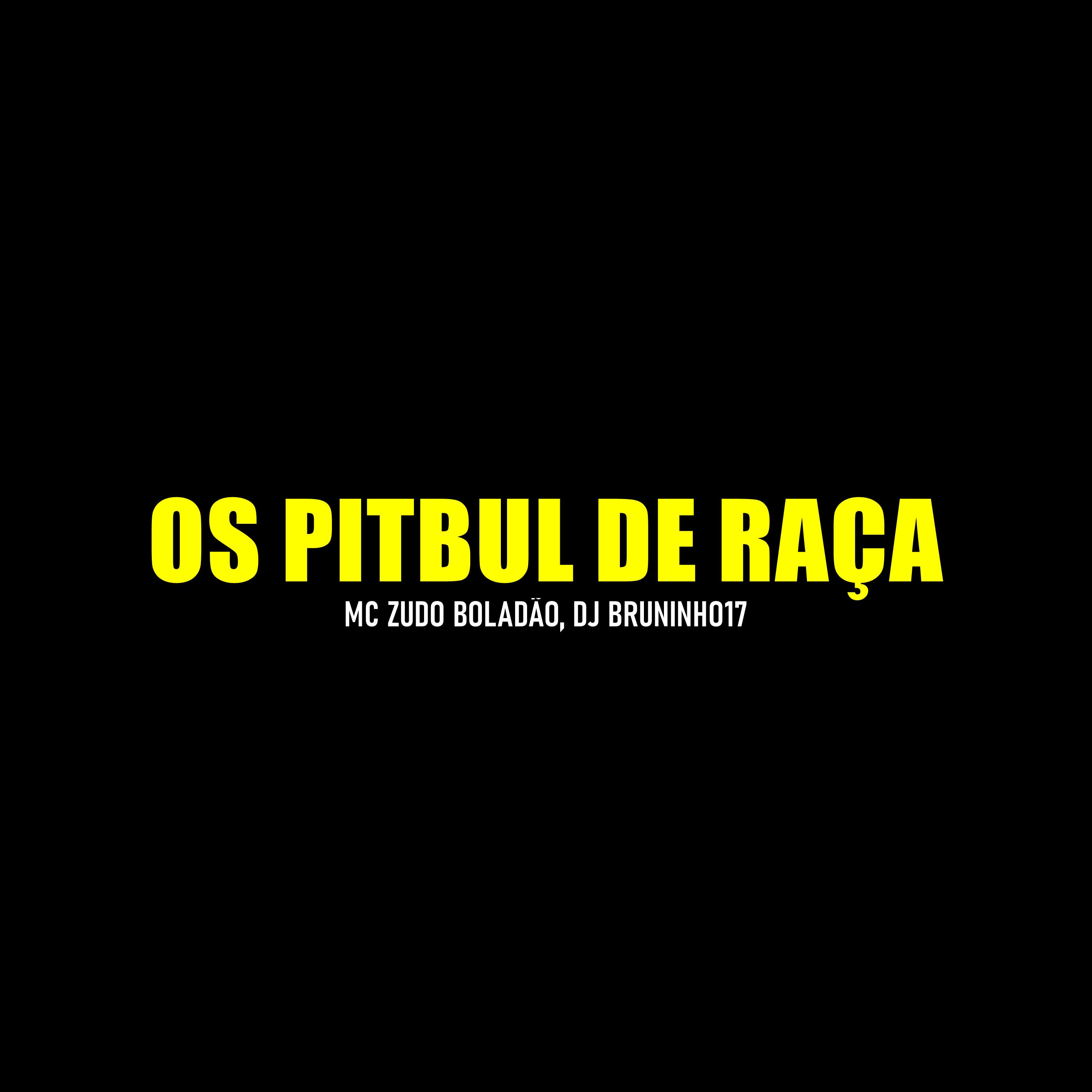 Постер альбома Os Pitbul de Raça
