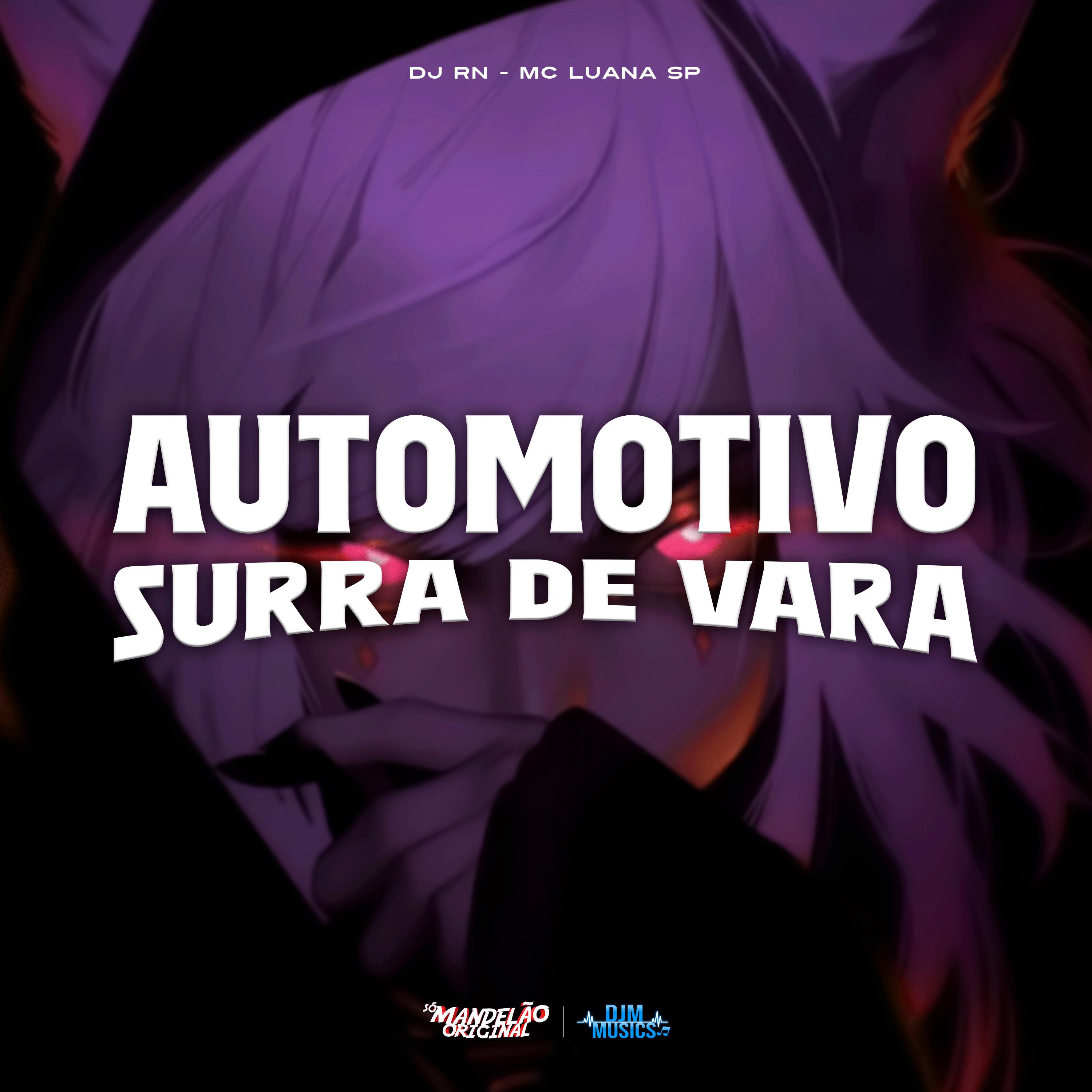 Постер альбома Automotivo Surra de Vara
