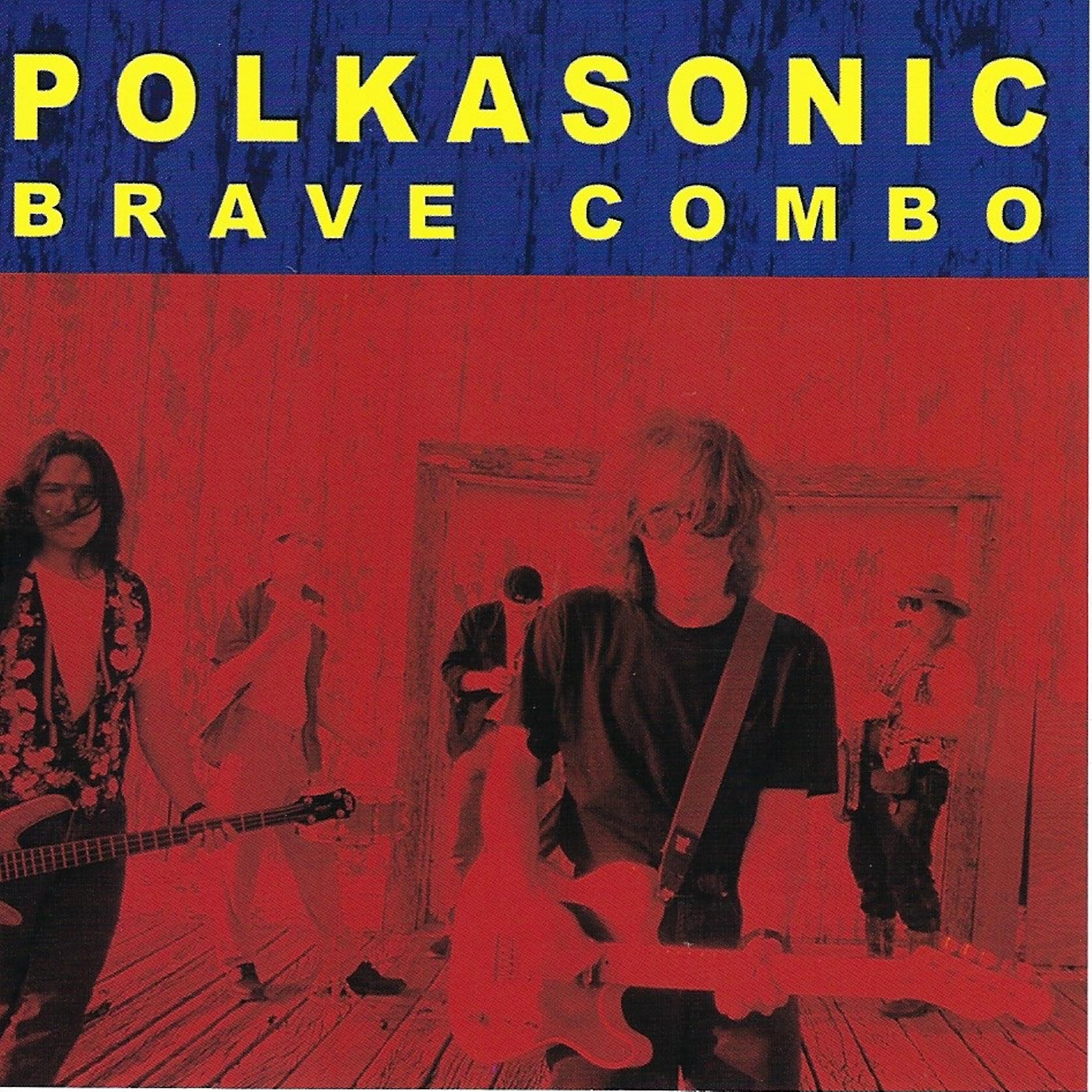 Постер альбома Polkasonic