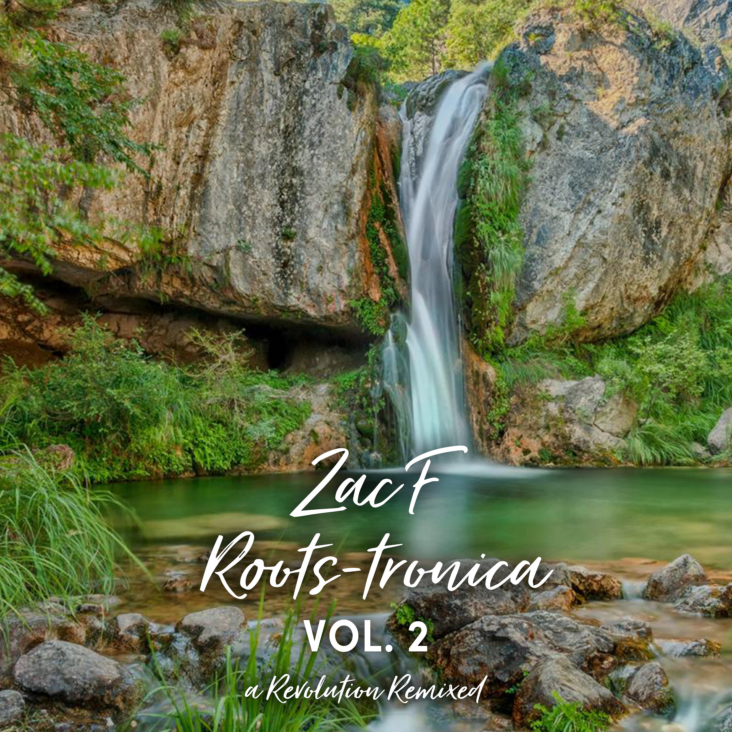 Постер альбома Roots-tronica Vol. 2