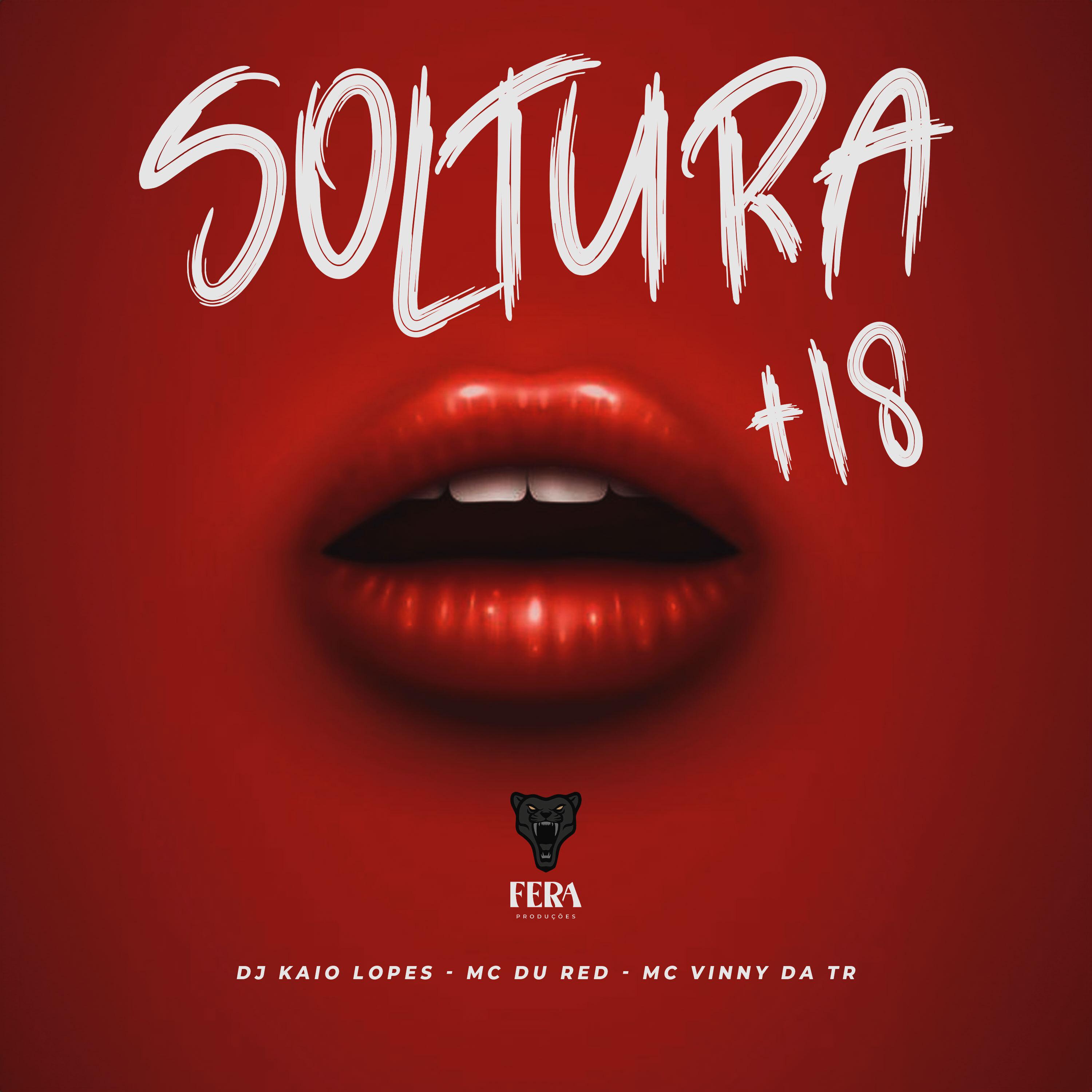 Постер альбома Soltura +18
