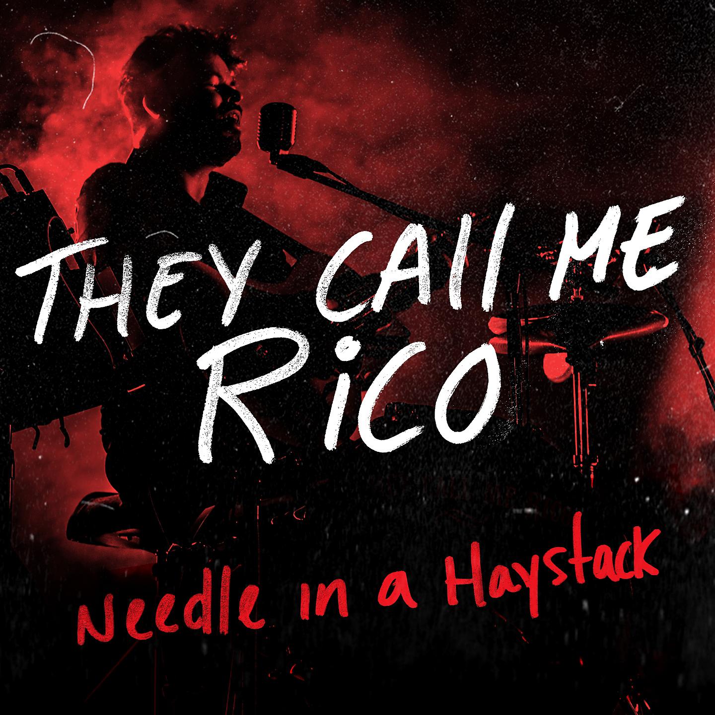 Постер альбома Needle in a Haystack - Single