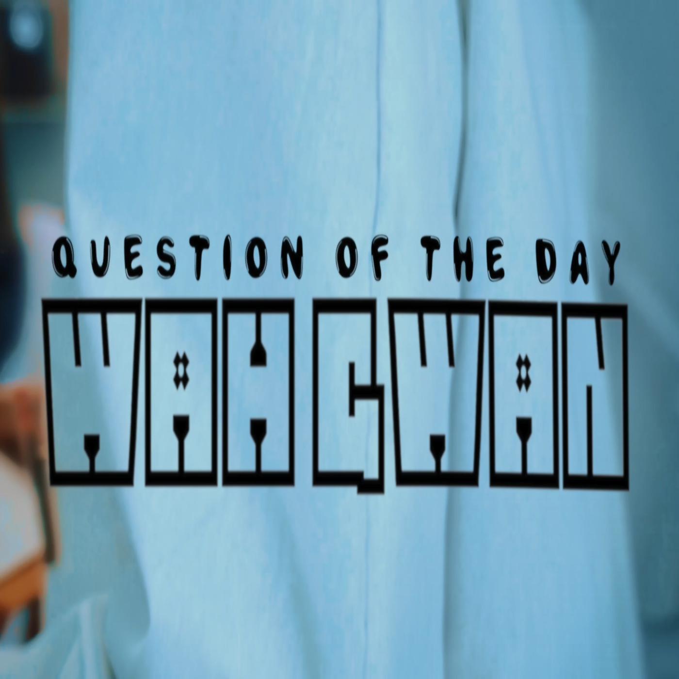 Постер альбома Question of the Day (Wah Gwan)