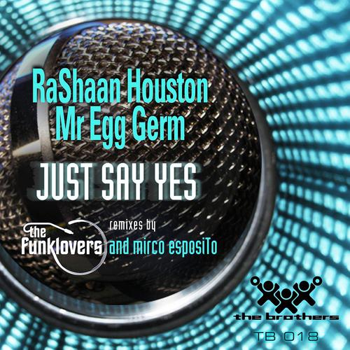 Постер альбома Rashaan Houston & Mr Egg Germ - Just Say Yes