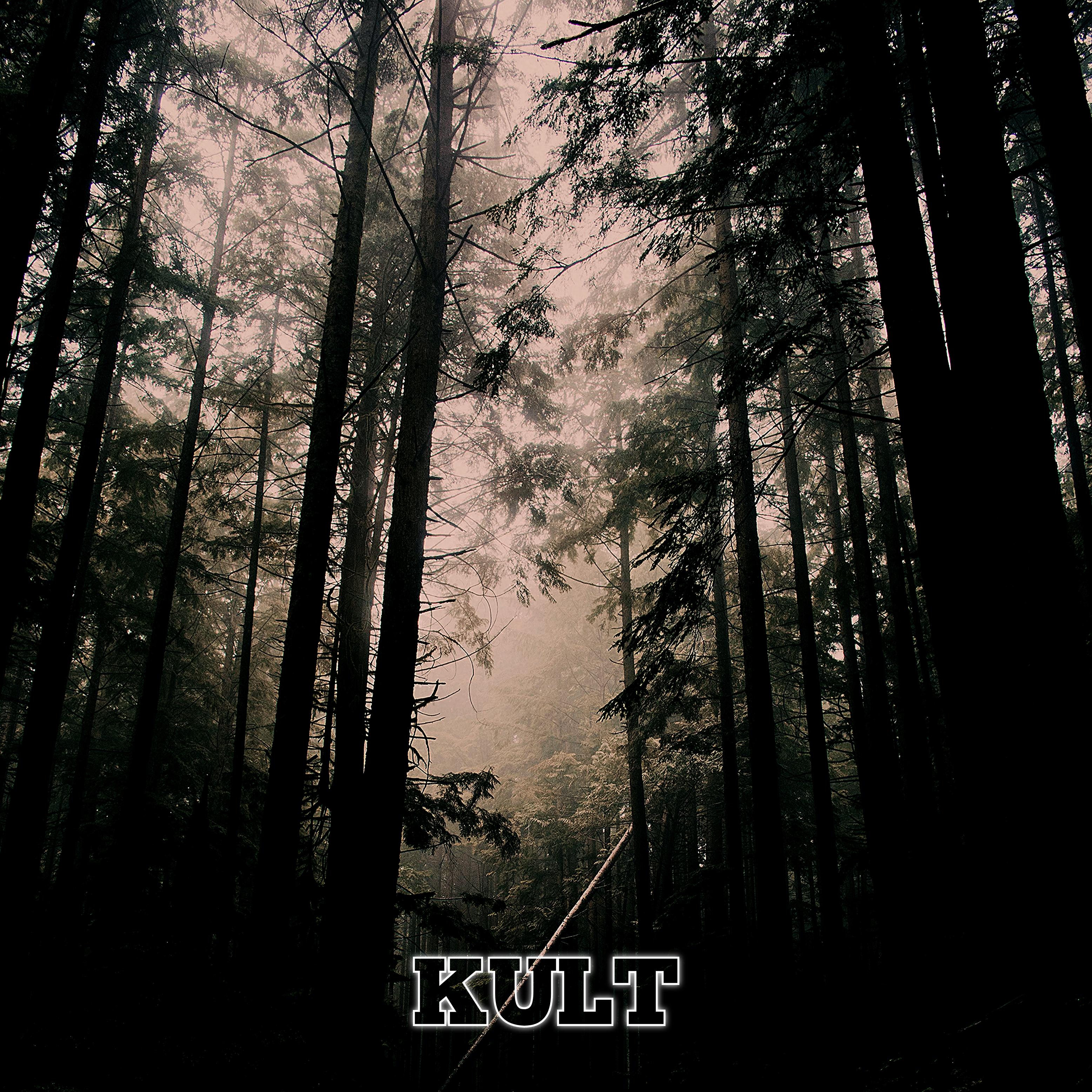 Постер альбома Kult
