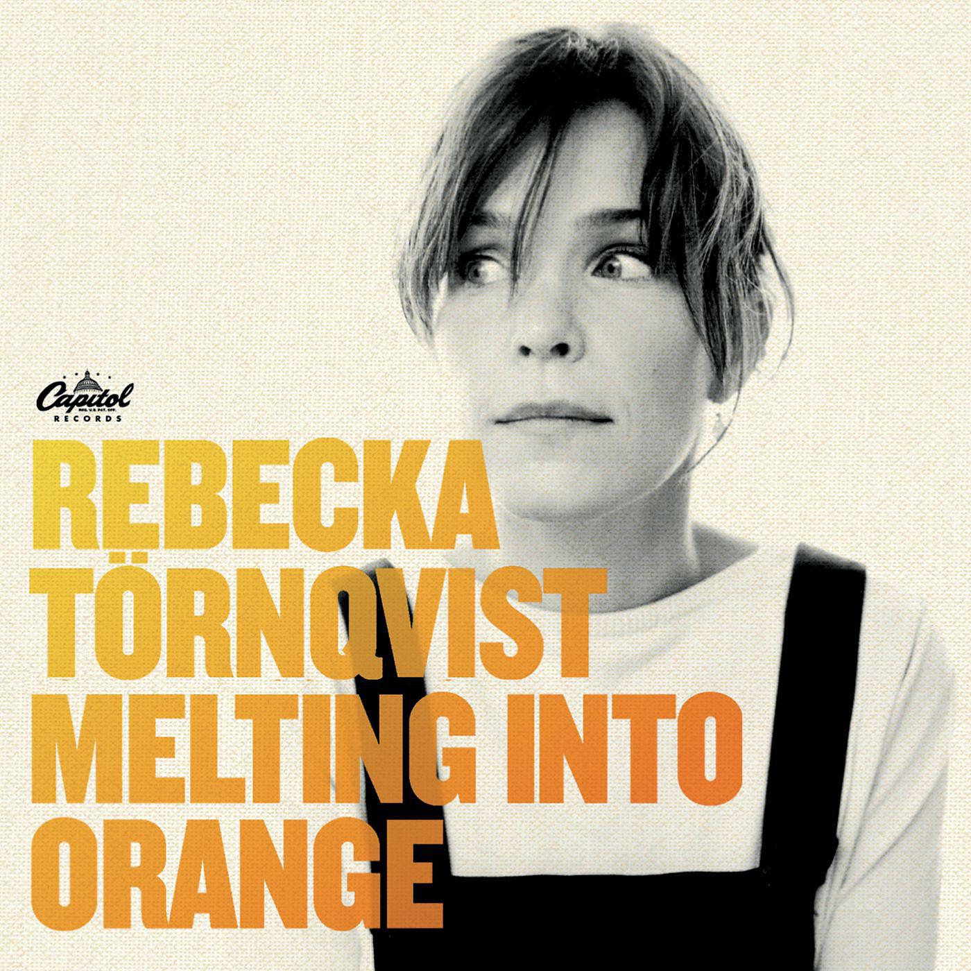 Постер альбома Melting Into Orange