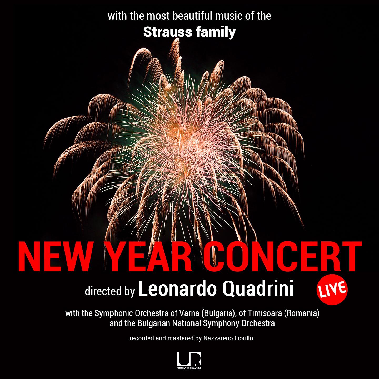 Постер альбома New Year Concert