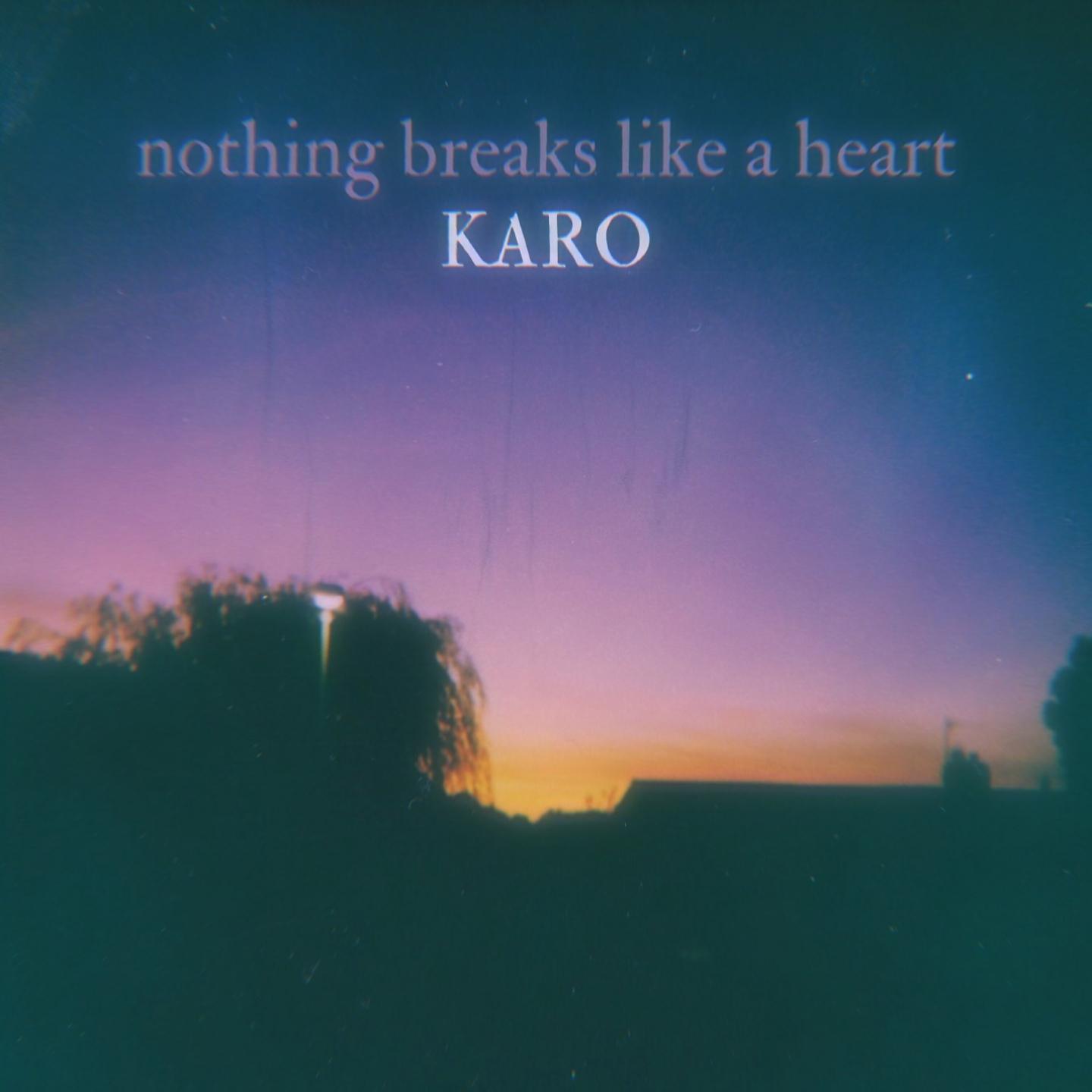 Постер альбома Nothing breaks like a heart