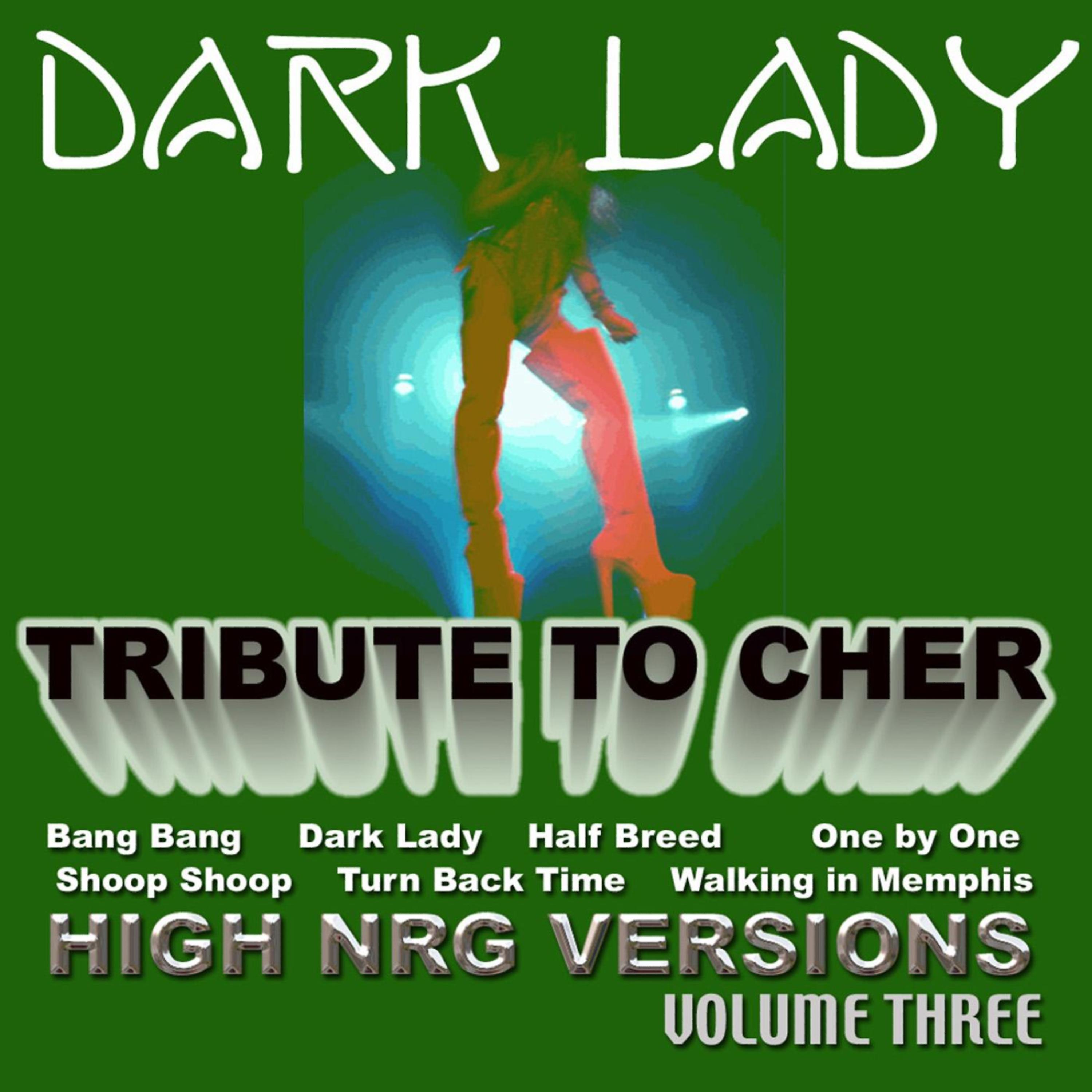 Постер альбома A Tribute To Cher Volume 3 - (High Energy Versions 1)