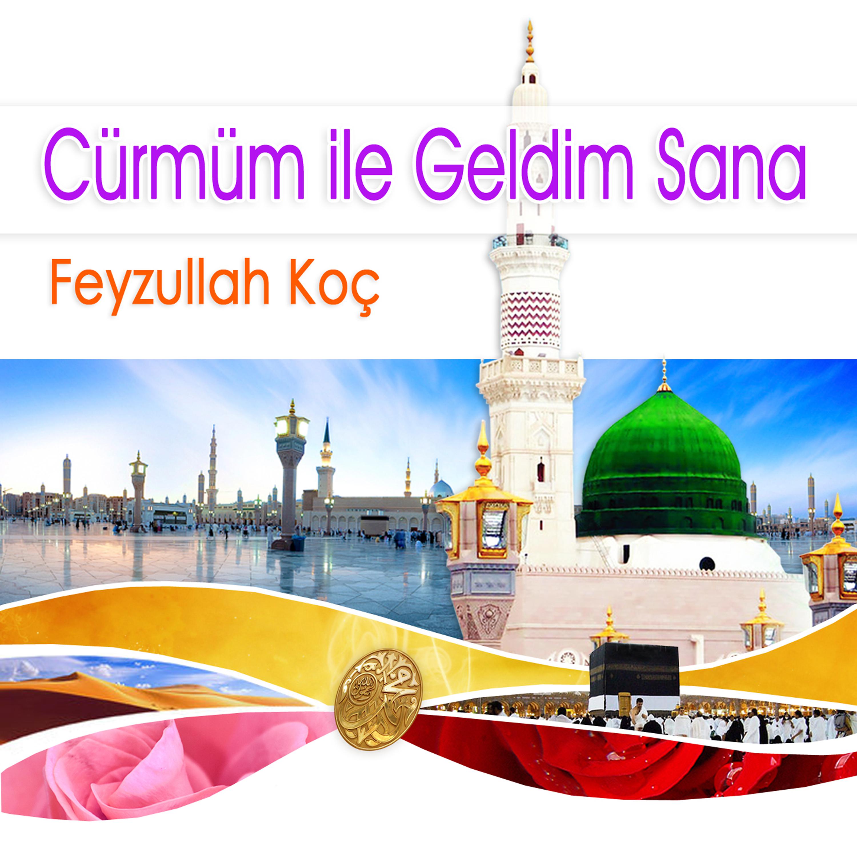 Постер альбома Cürmüm İle Geldim Sana
