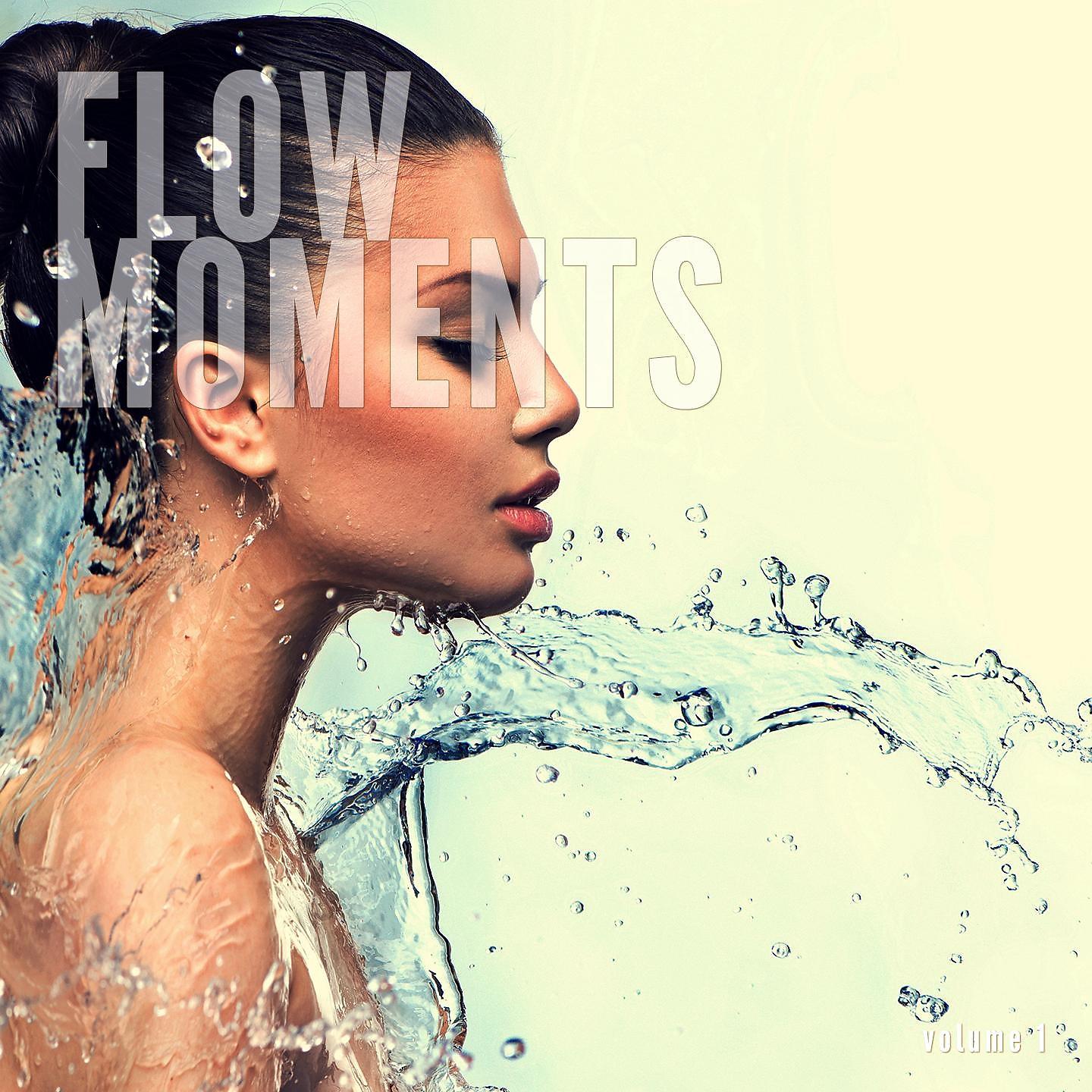Постер альбома Flow Moments, Vol. 1