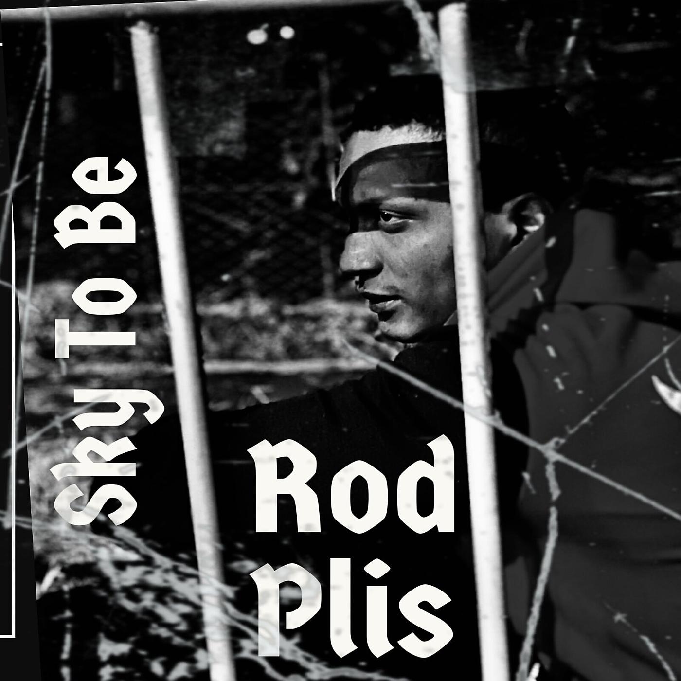 Постер альбома Rod Plis