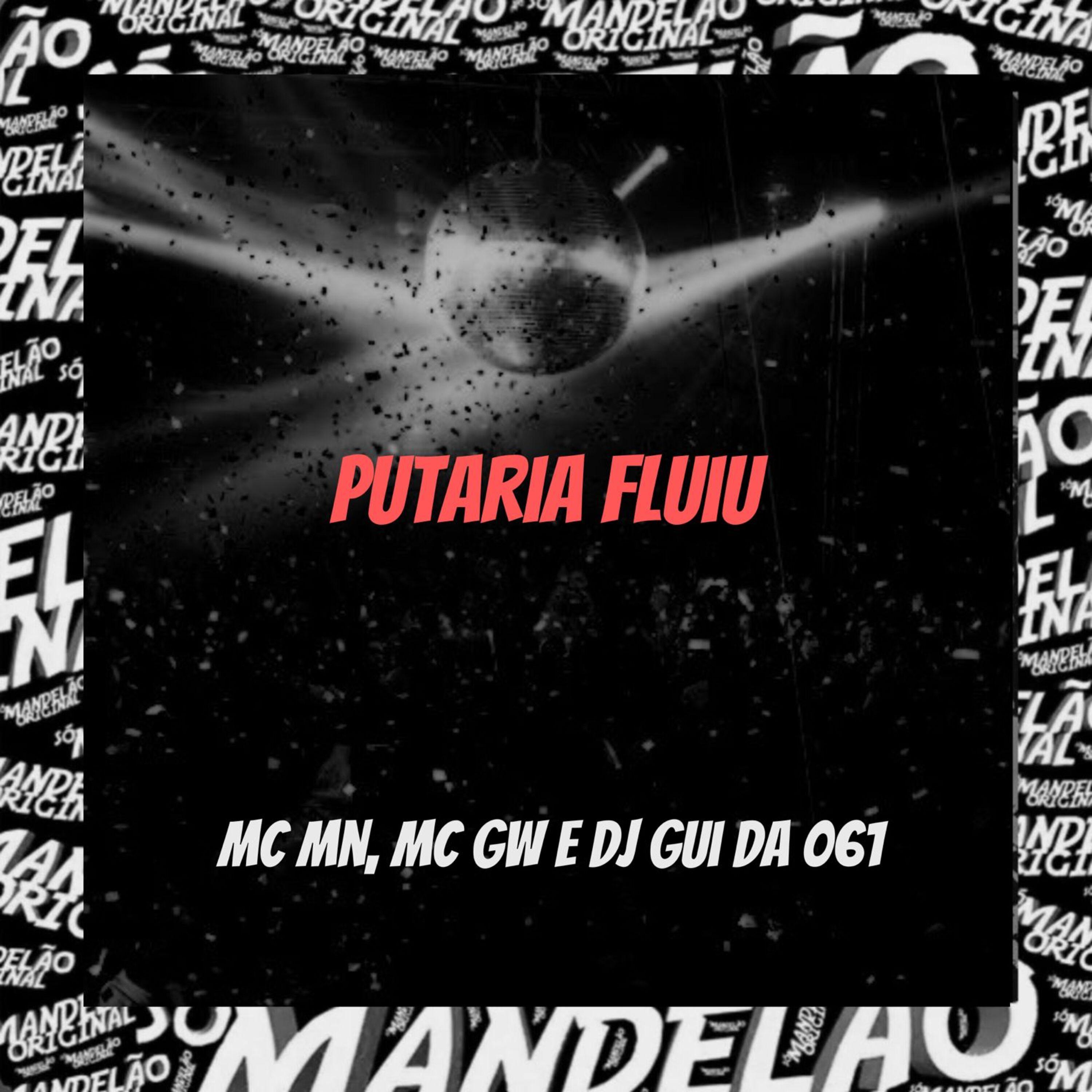 Постер альбома Putaria Fluiu