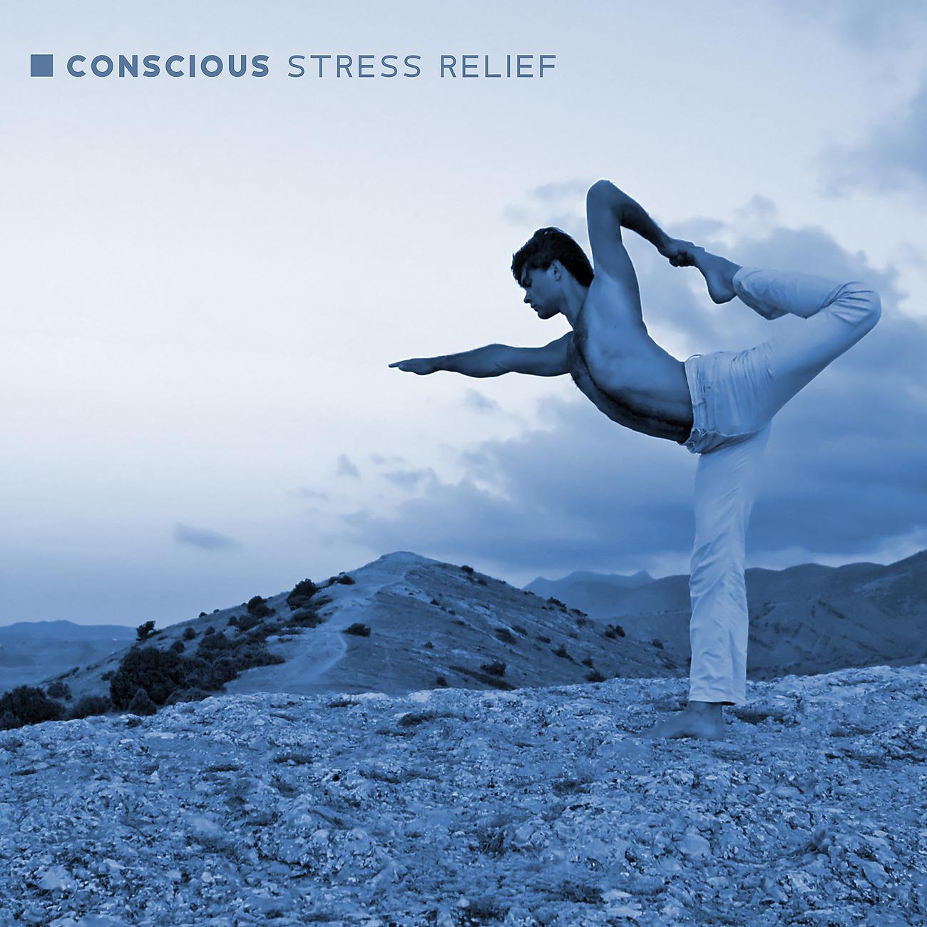 Постер альбома Conscious Stress Relief