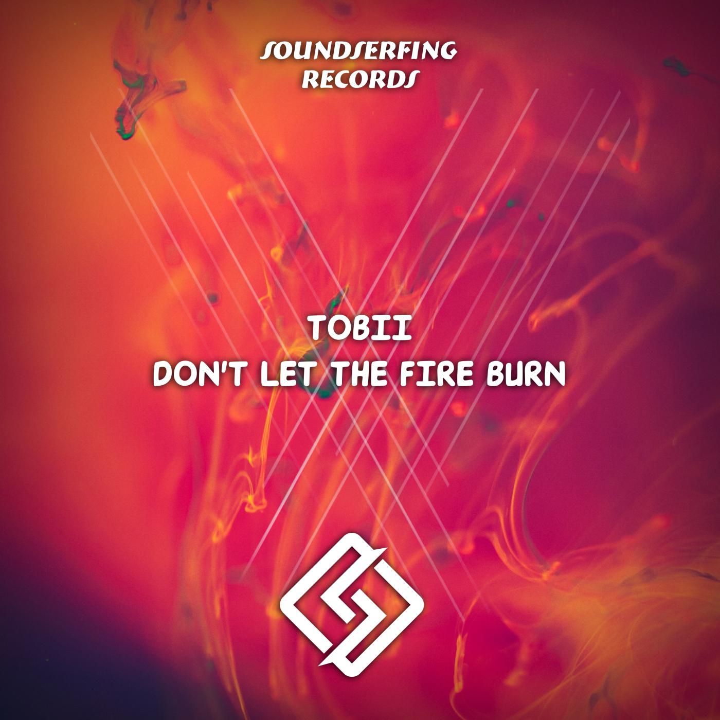 Постер альбома Don't Let The Fire Burn