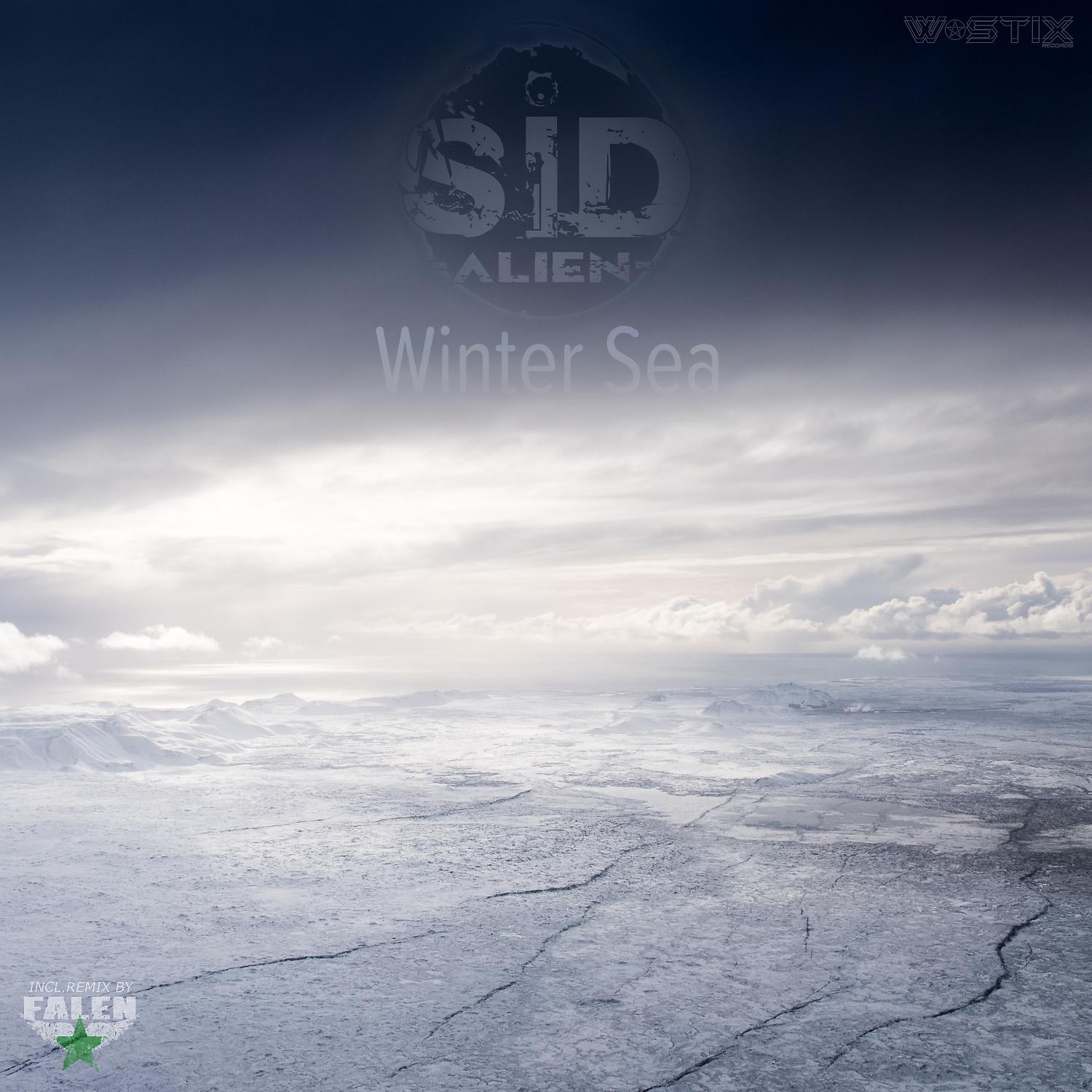 Постер альбома Winter Sea