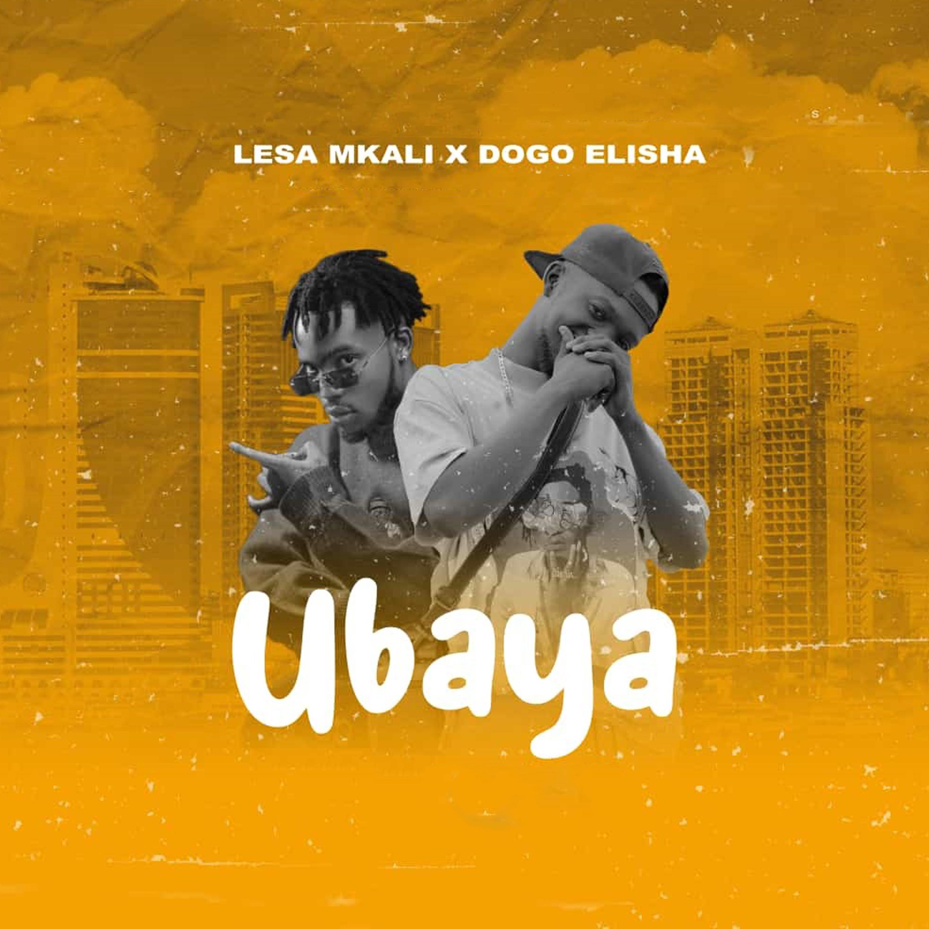 Постер альбома UBAYA (feat. Dogo Elisha)