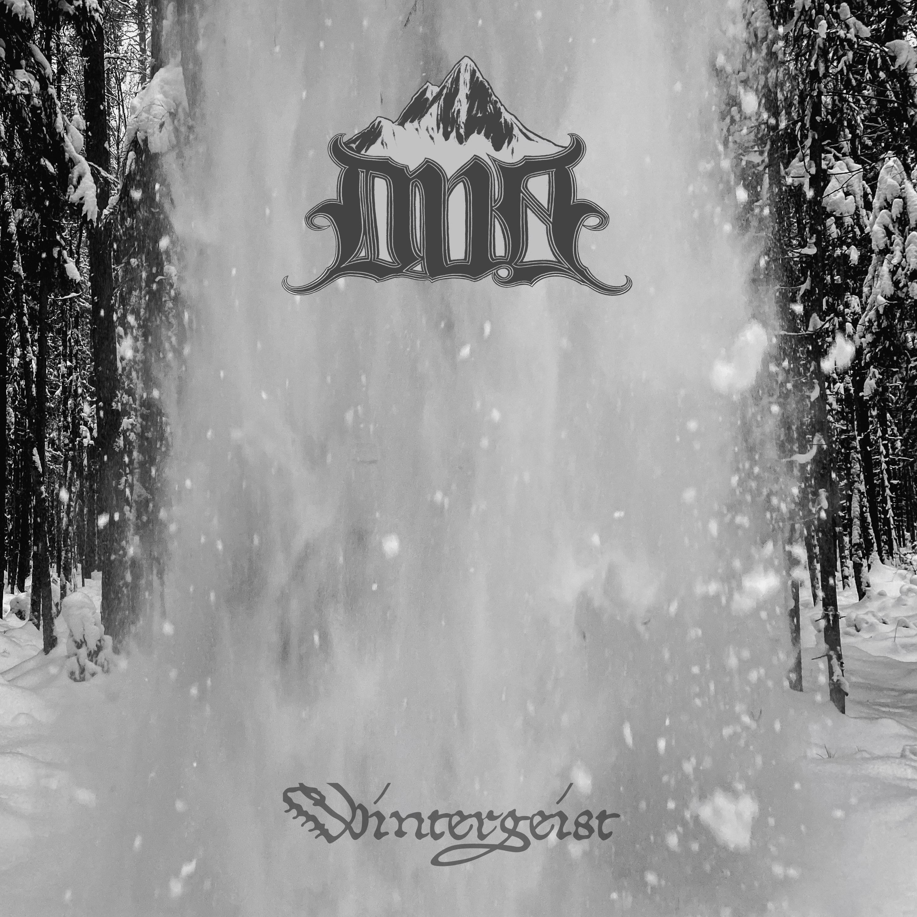 Постер альбома Wintergeist