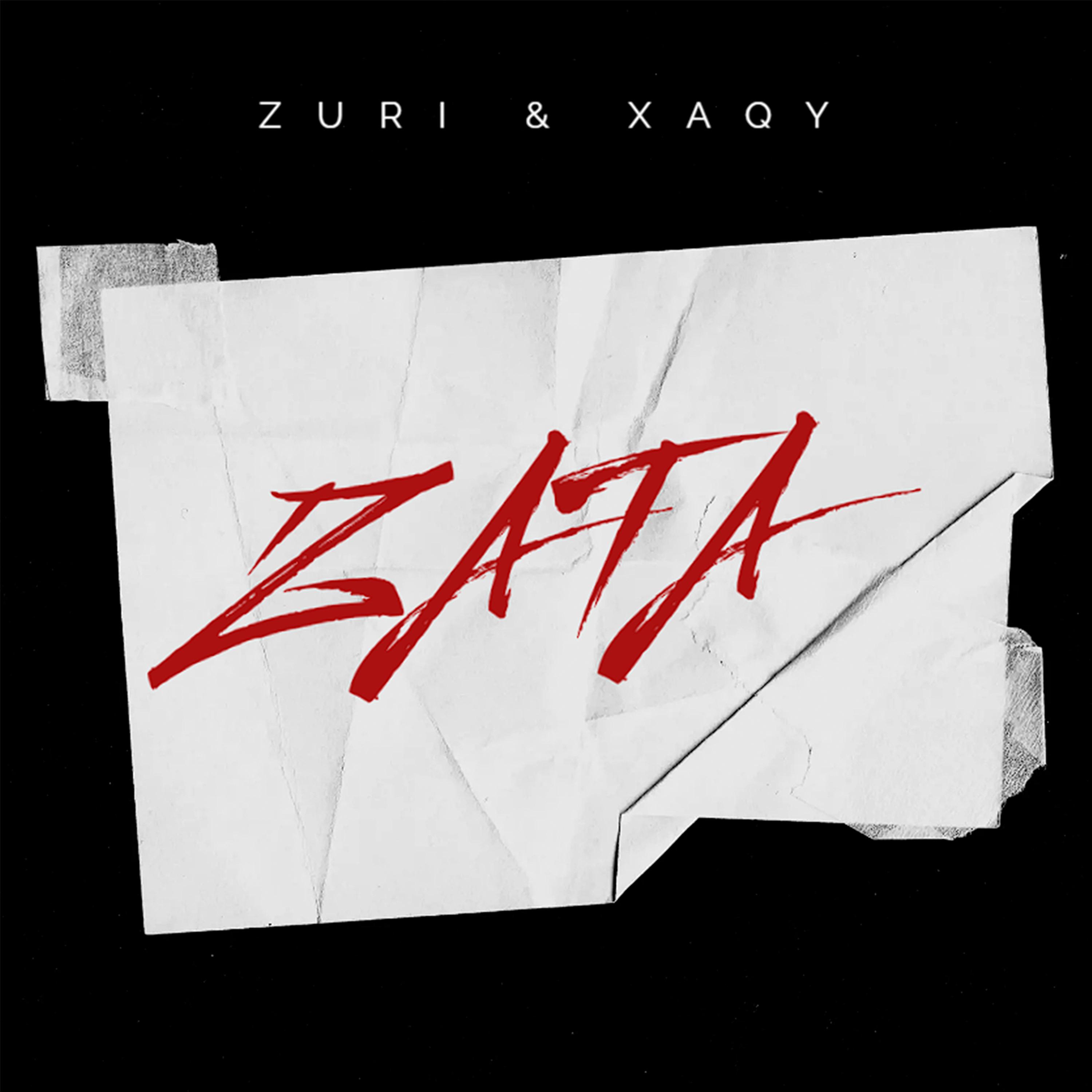 Постер альбома Zata