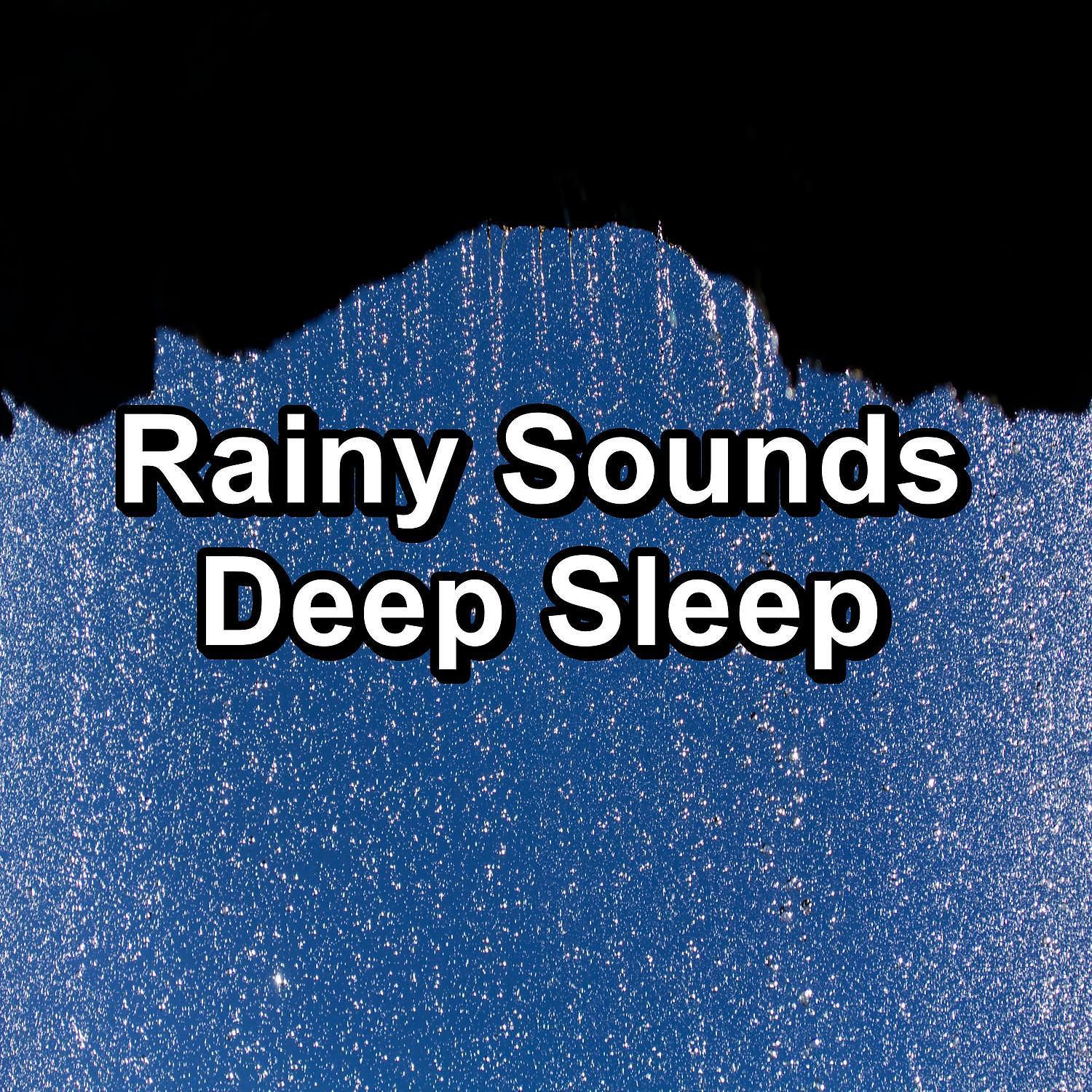 Постер альбома Rainy Sounds Deep Sleep