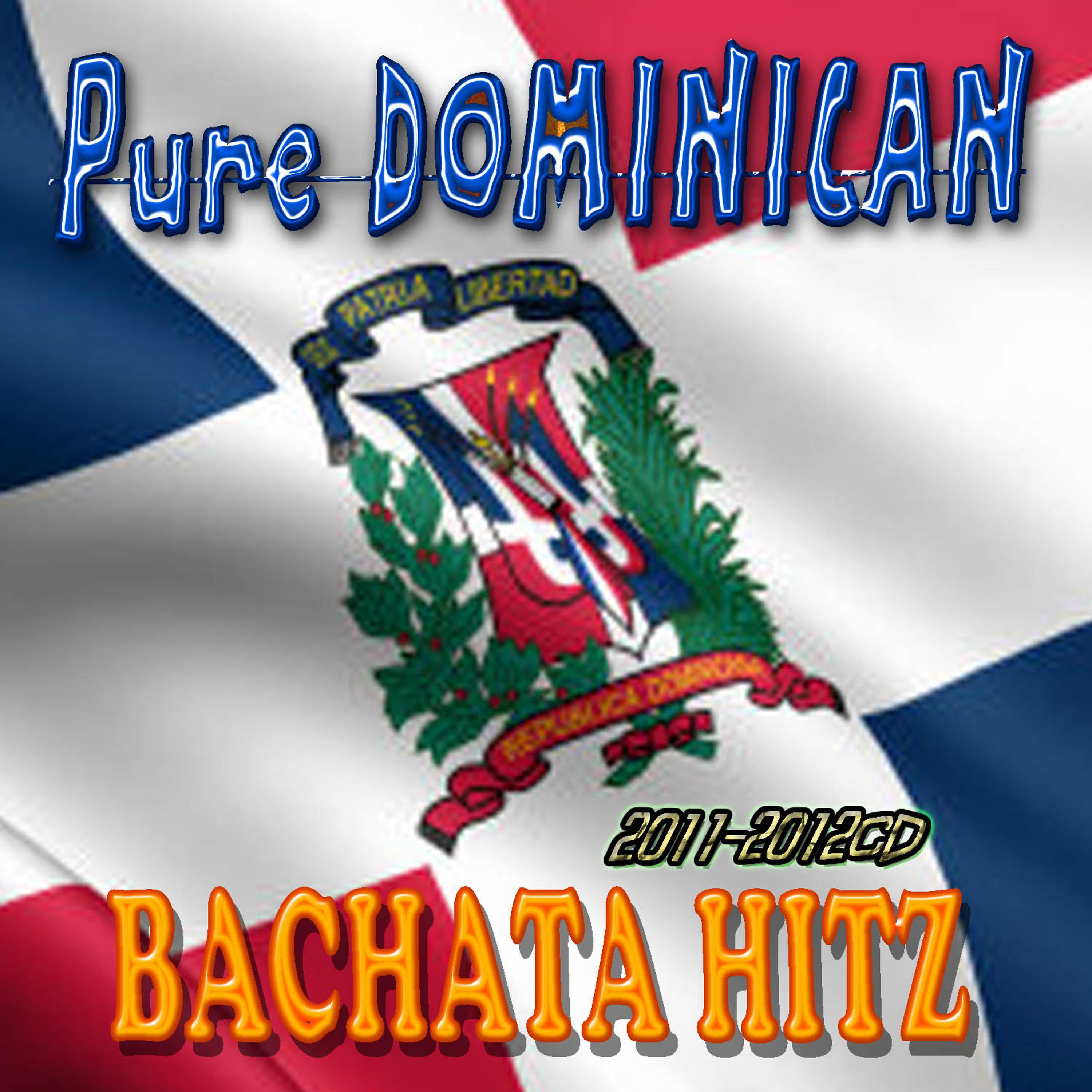 Постер альбома Pure Dominican Bachata Hitz 2011