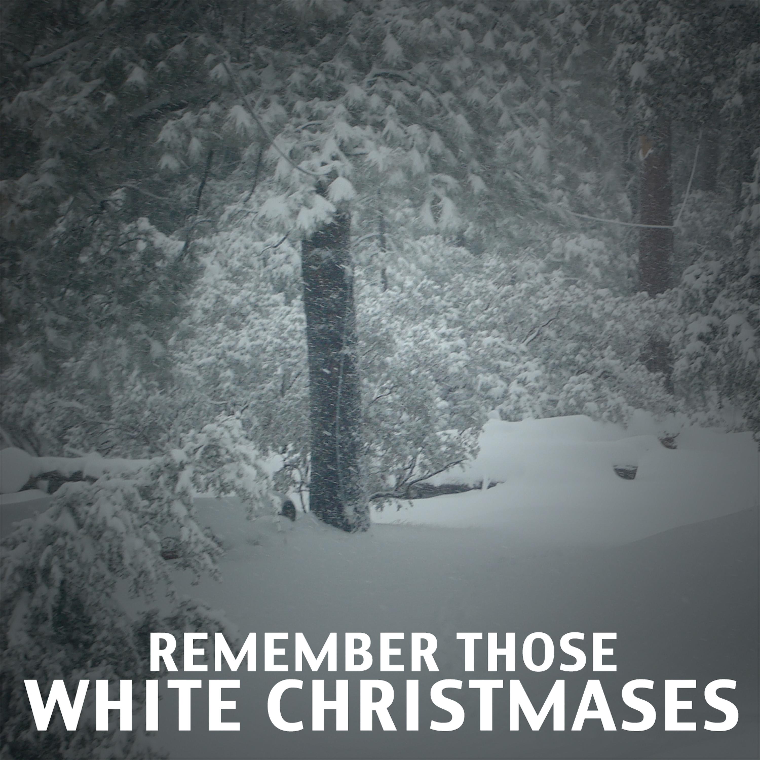 Постер альбома Remember Those White Christmases