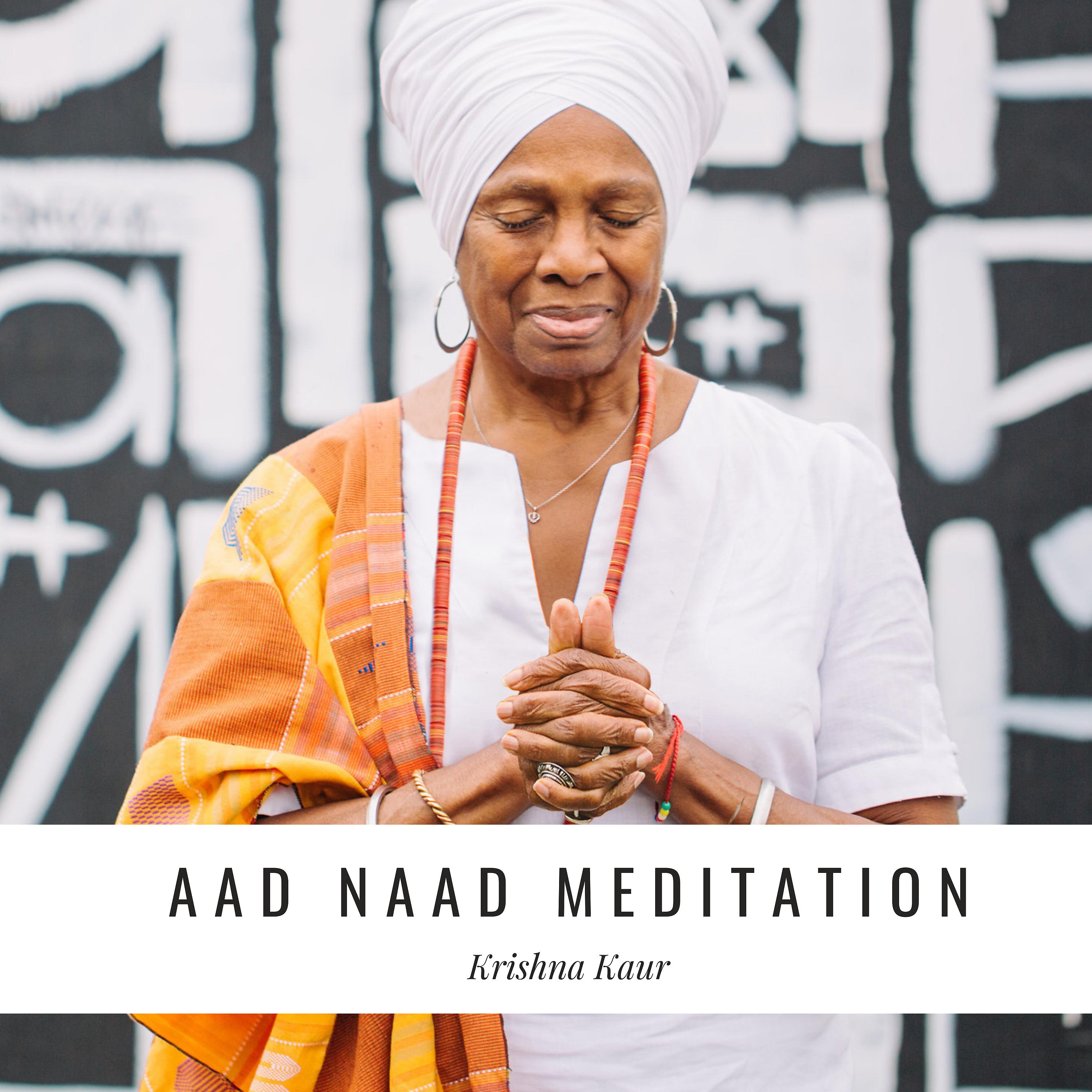 Постер альбома Aad Naad Meditation