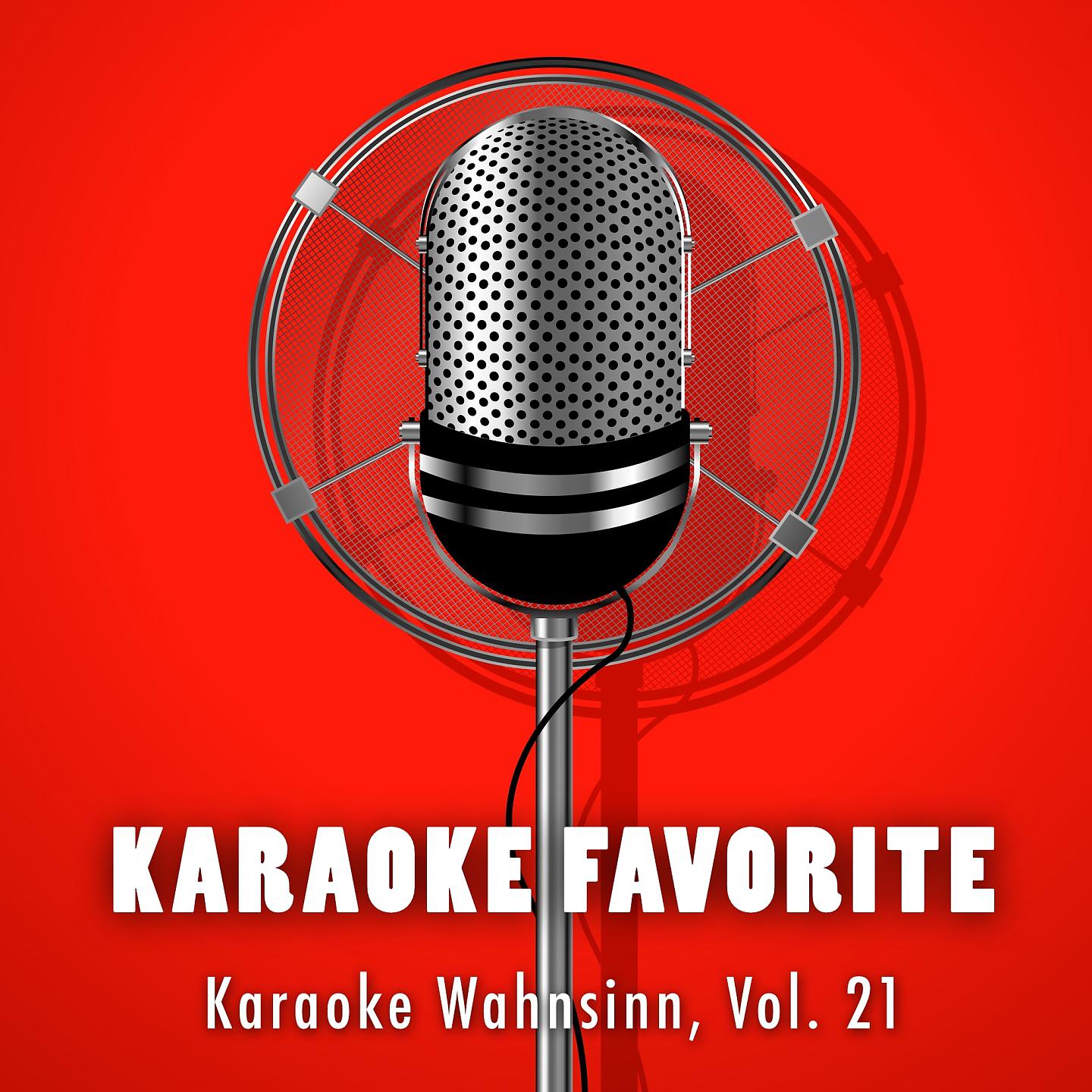 Постер альбома Karaoke Wahnsinn, Vol. 21