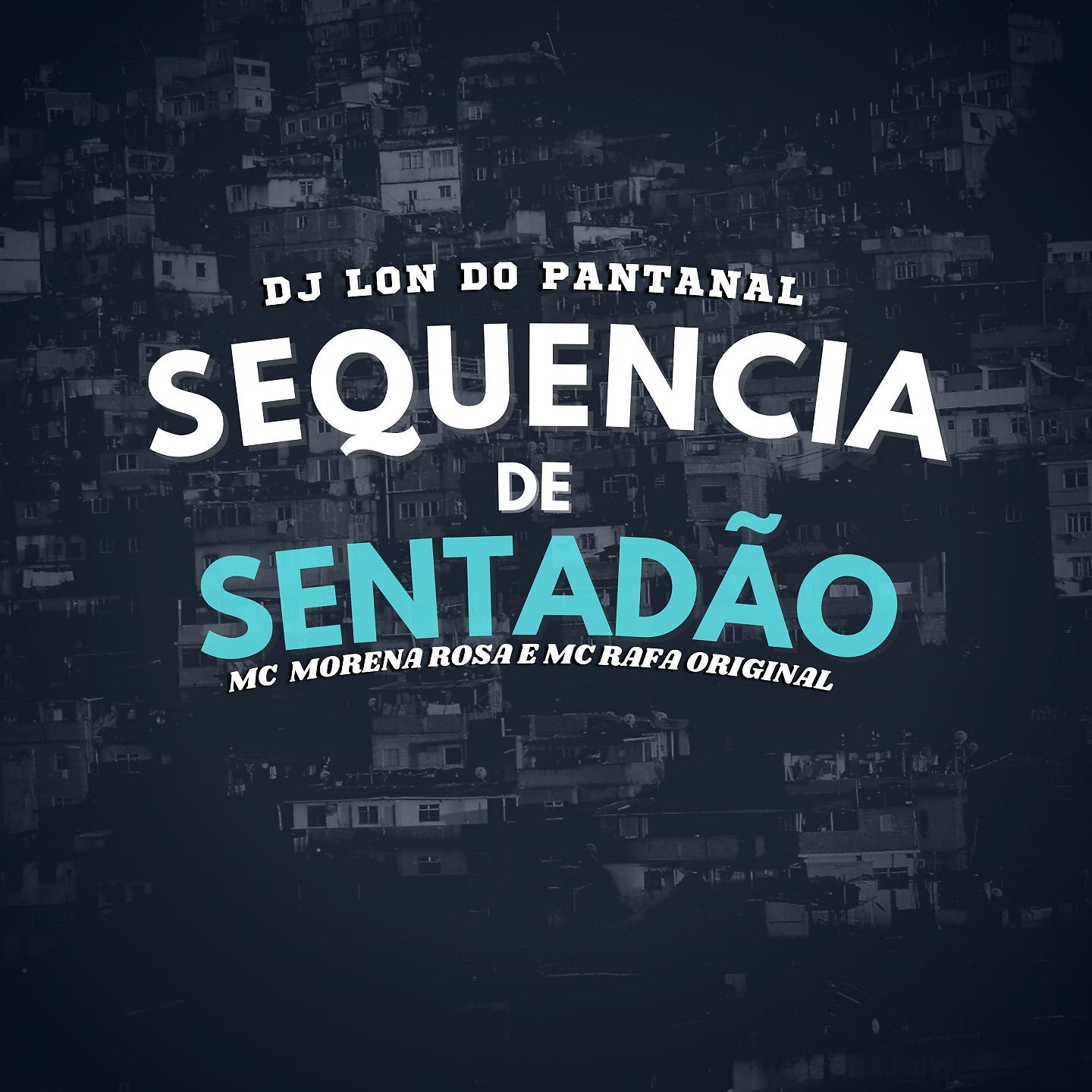 Постер альбома Sequência De Sentadão