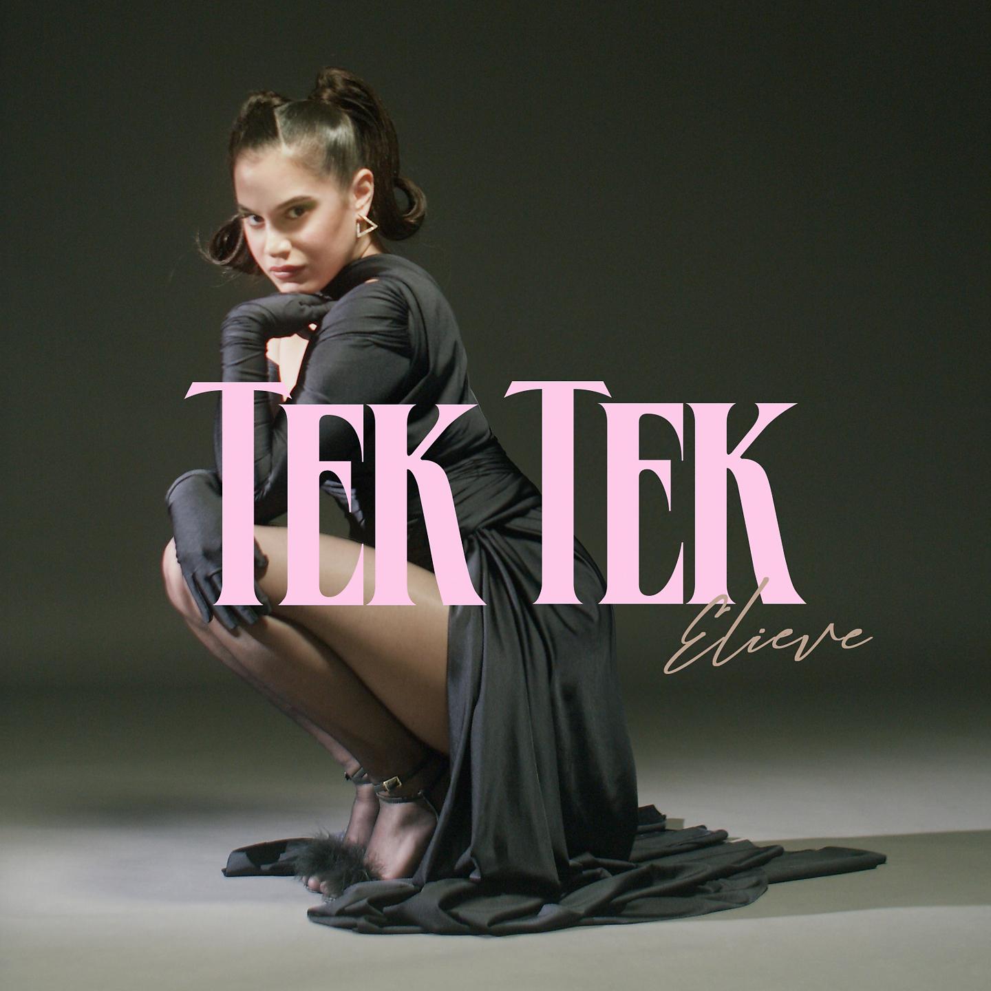 Постер альбома TEK TEK