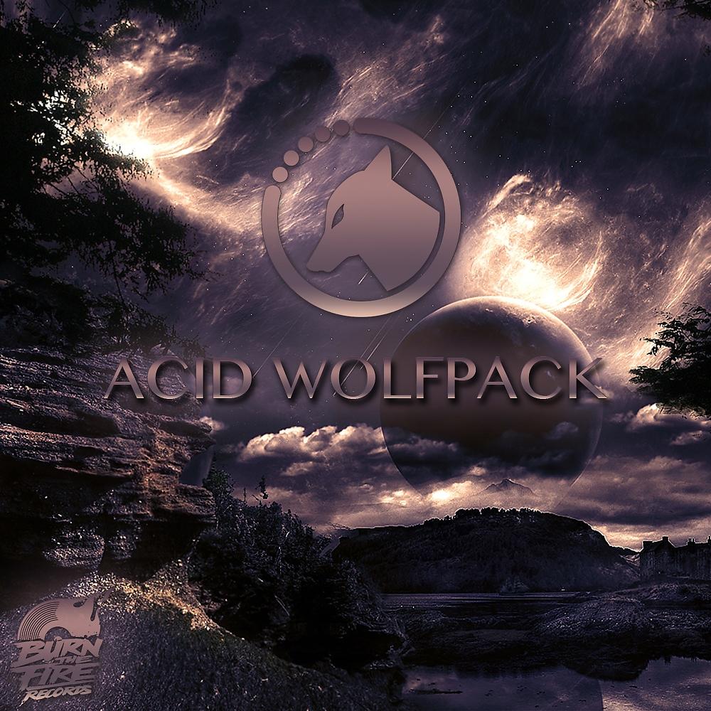 Постер альбома Acid Wolfpack