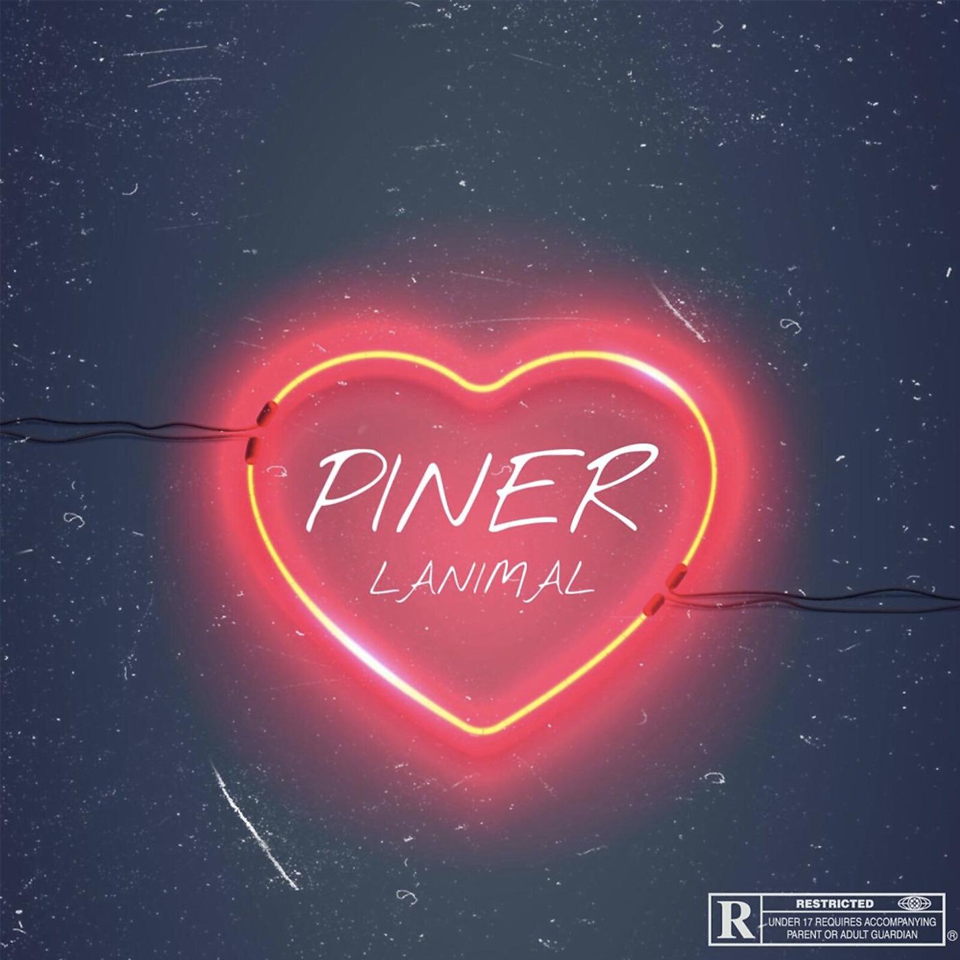 Постер альбома Piner