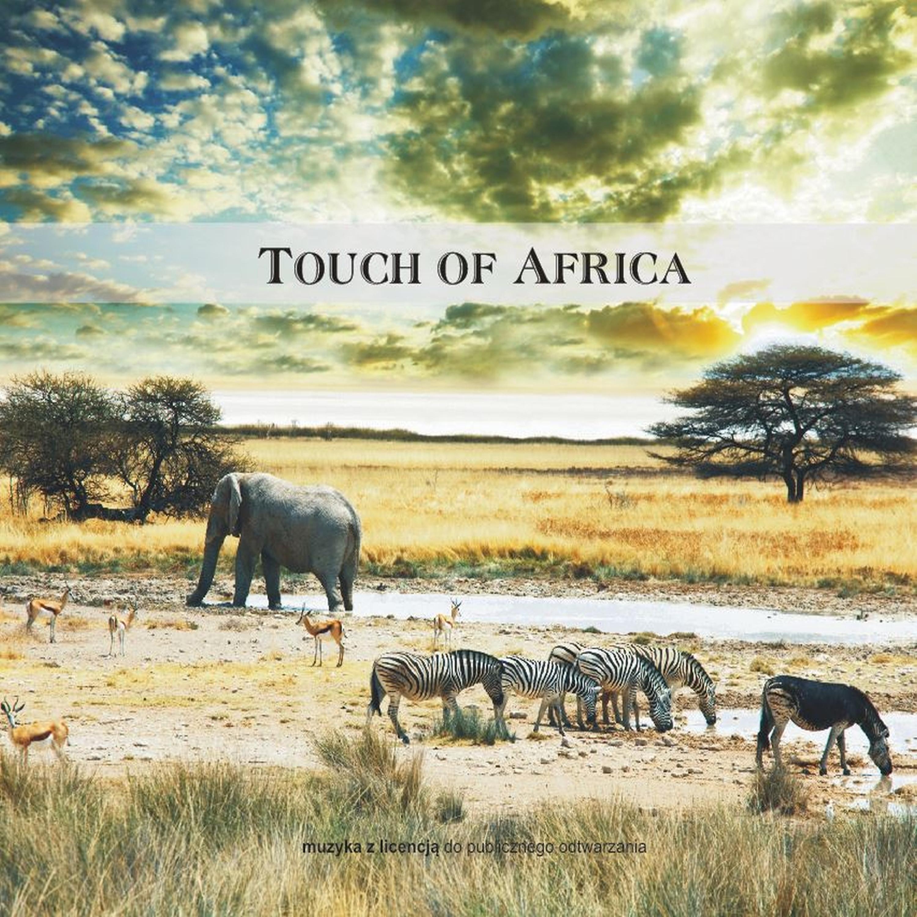 Постер альбома Touch of Africa