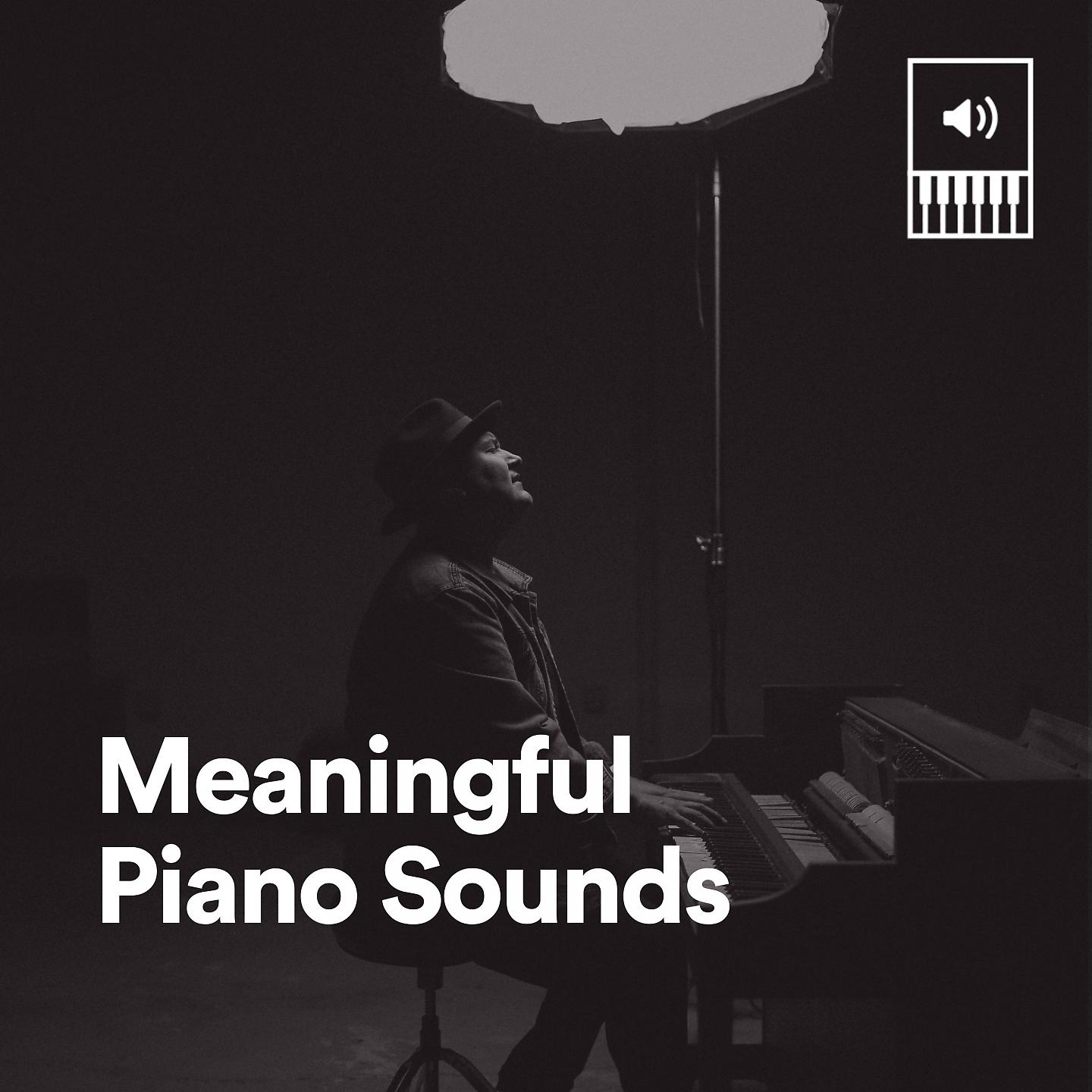 Постер альбома Meaningful Piano Sounds