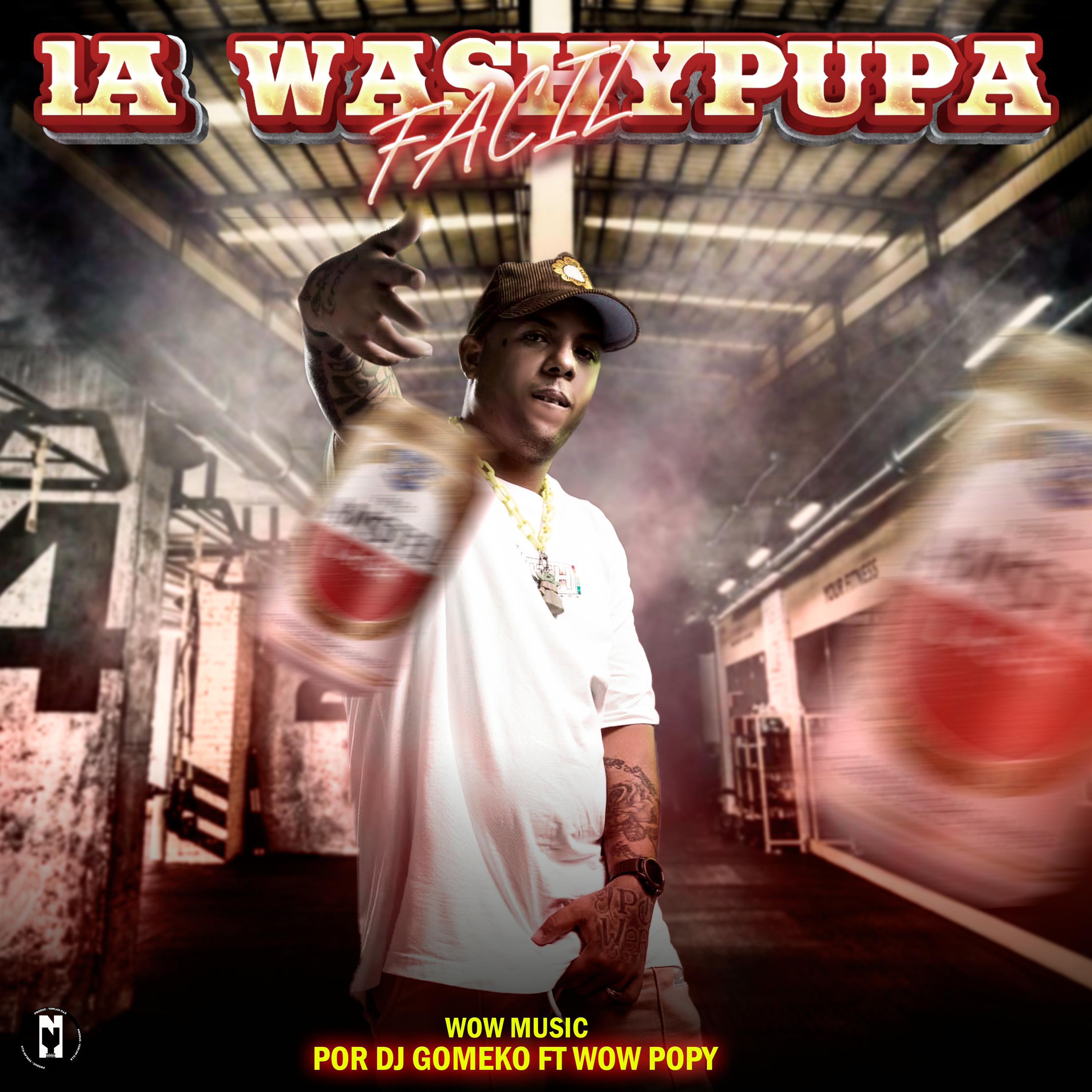 Постер альбома La Washypupa Facil