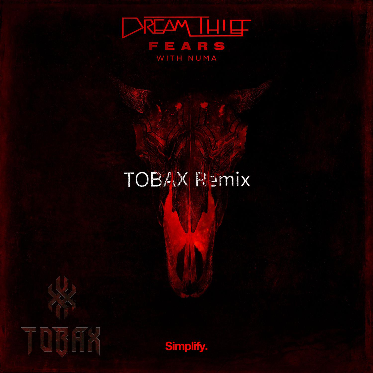 Постер альбома Fears (feat. Numa) [Tobax Remix]