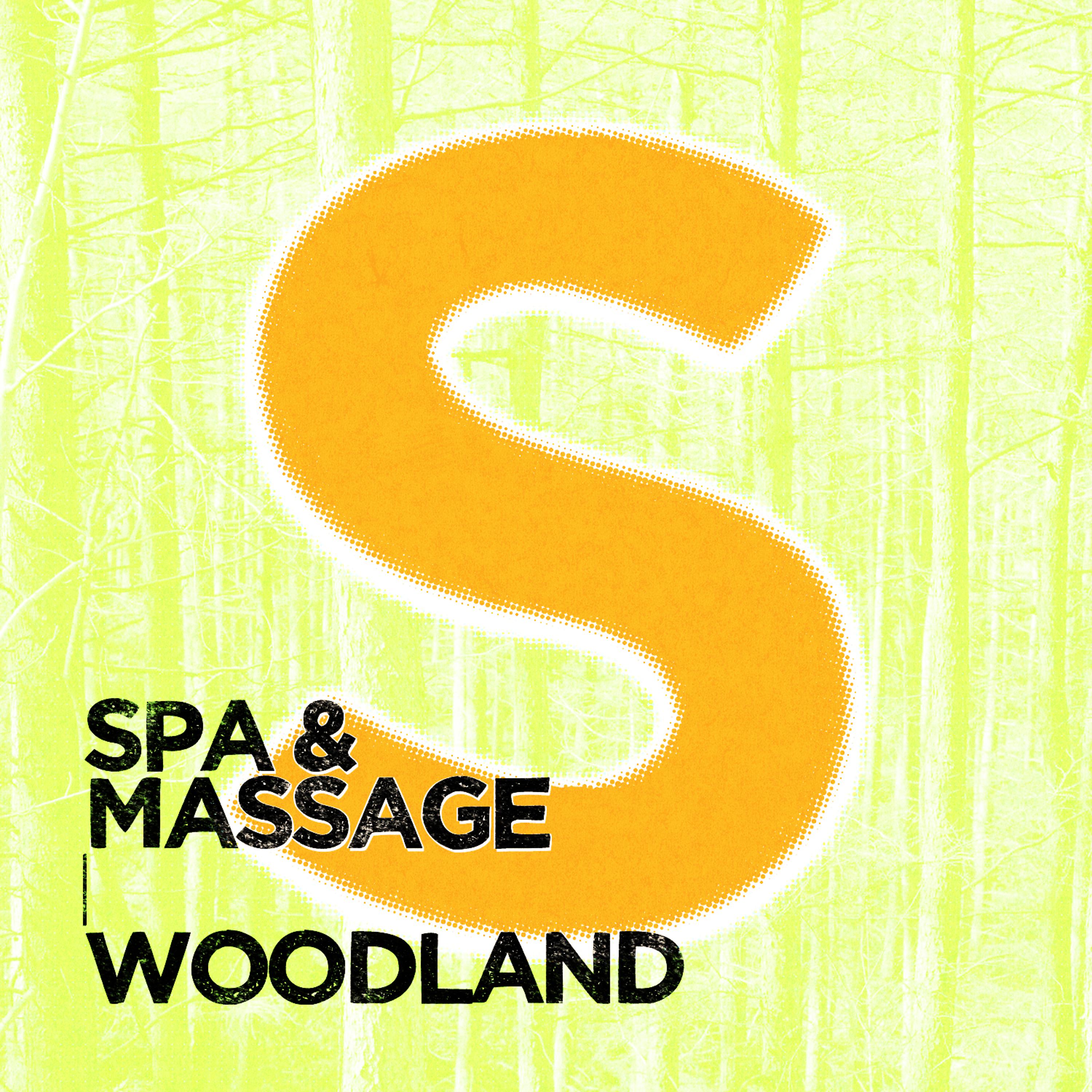 Постер альбома Spa & Massage: Woodland