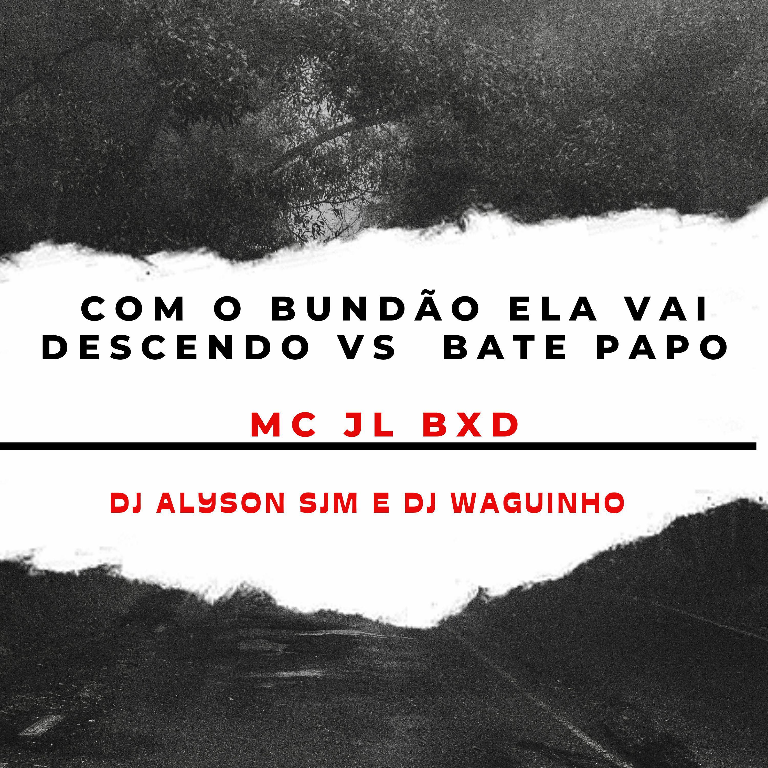 Постер альбома Com o Bundão Ela Vai Descendo Vs  Bate Papo