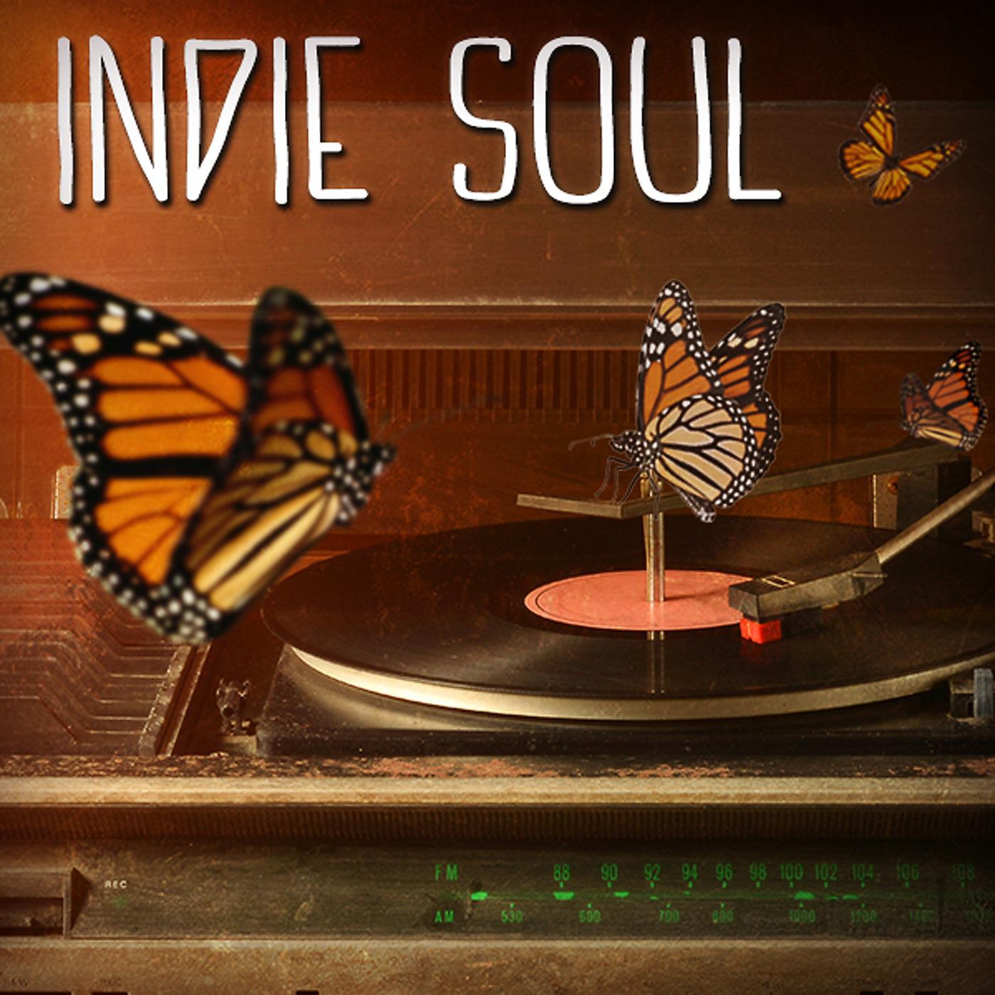 Постер альбома Indie Soul