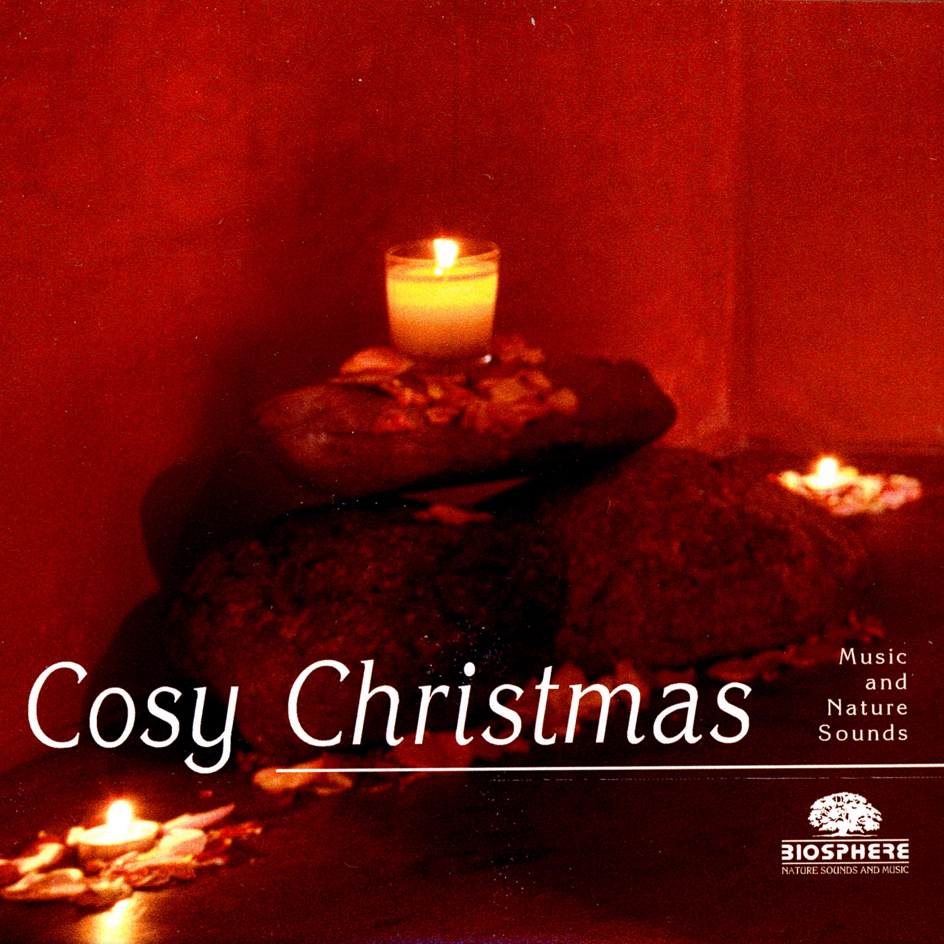 Постер альбома Cosy Christmas