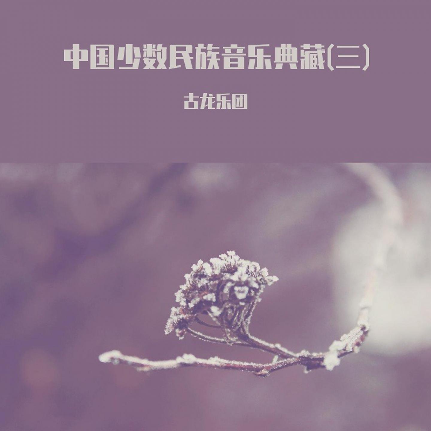 Постер альбома 中国少数民族音乐典藏(三)