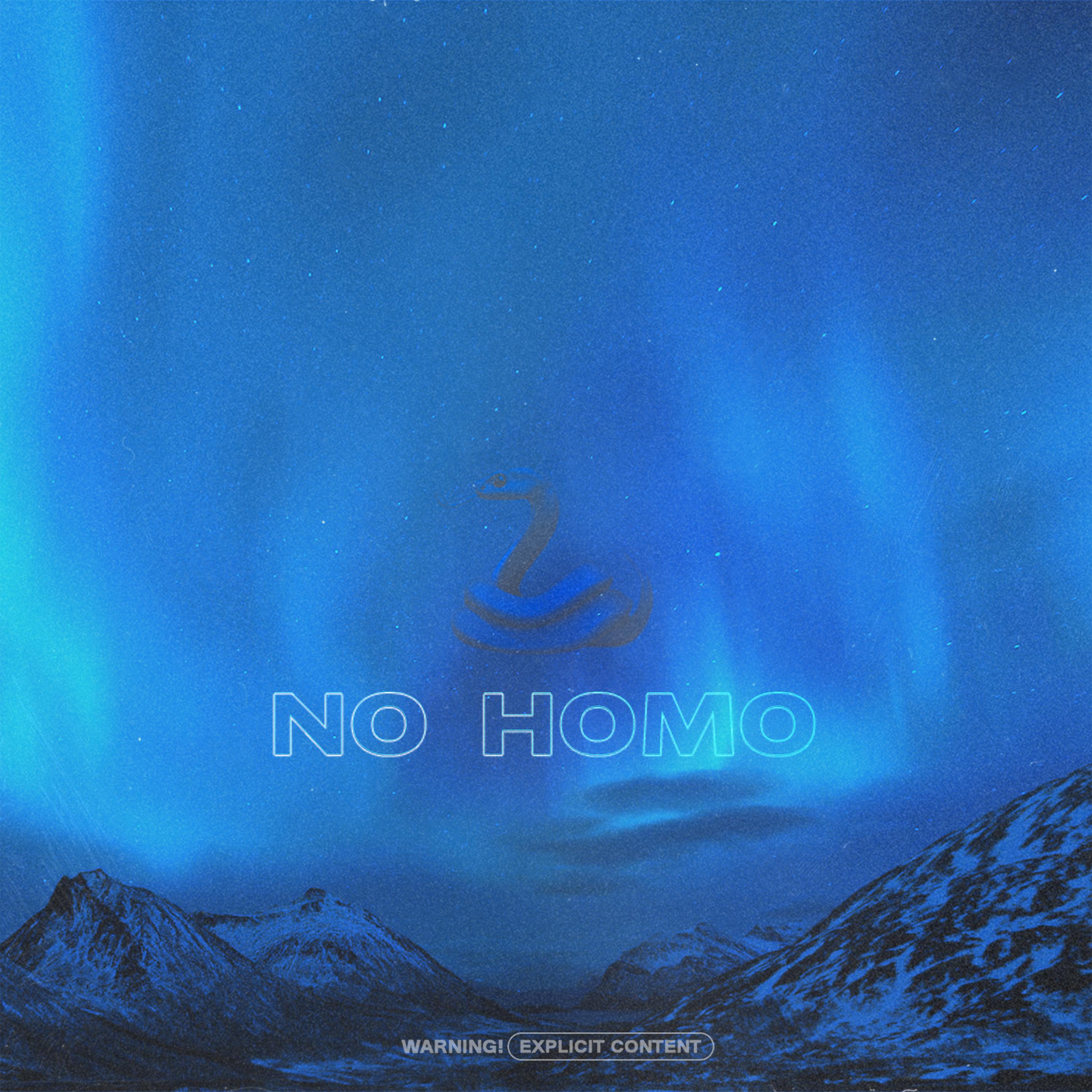 Постер альбома No Homo