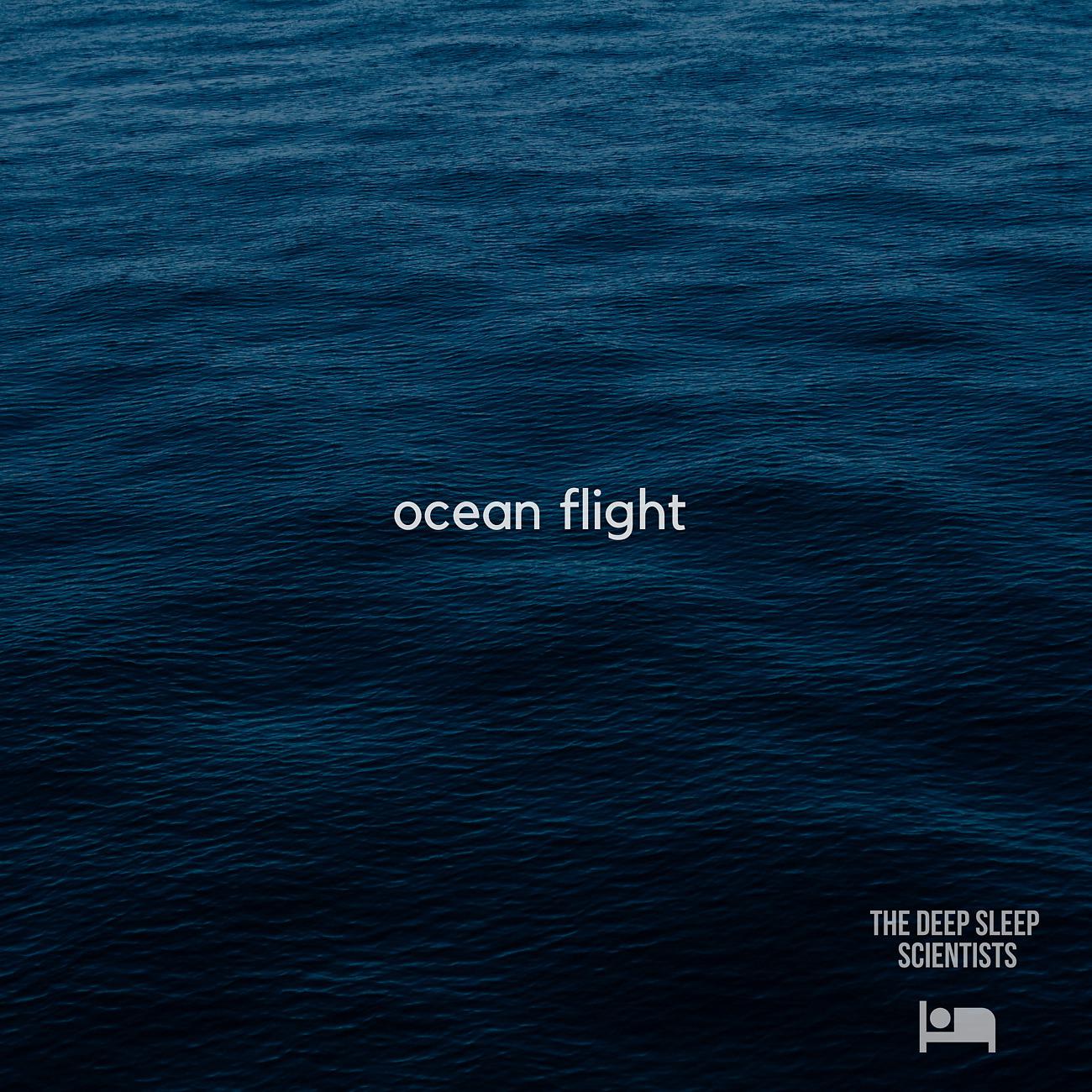 Постер альбома Ocean Flight